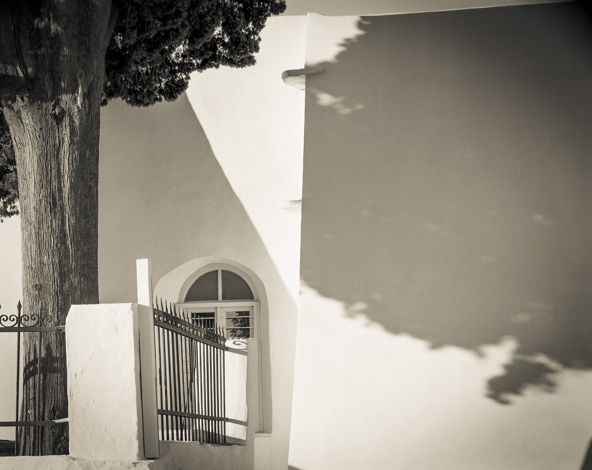 Tree, Shadow on Agios Konstantinos. Sifnos, Greece. 1/5th sec. f64