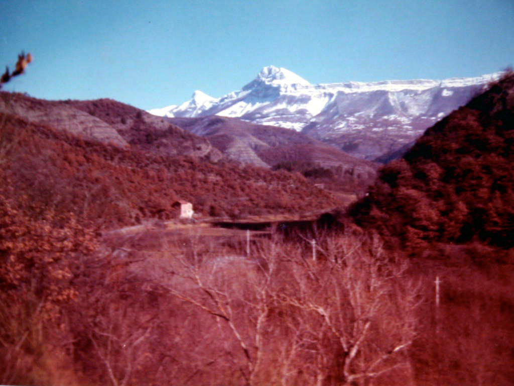 My first photo with a simple all plastic 35 mm camera - I was 10 years
