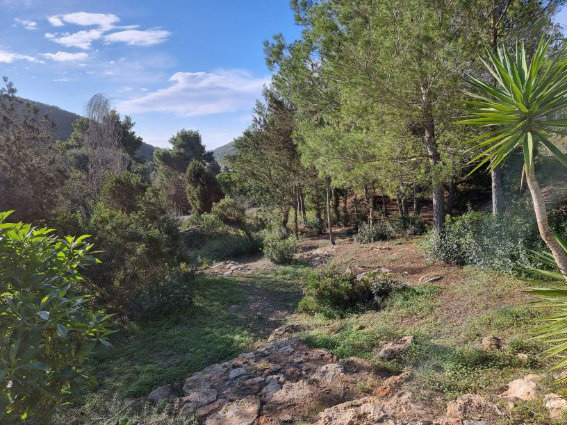middle gardens