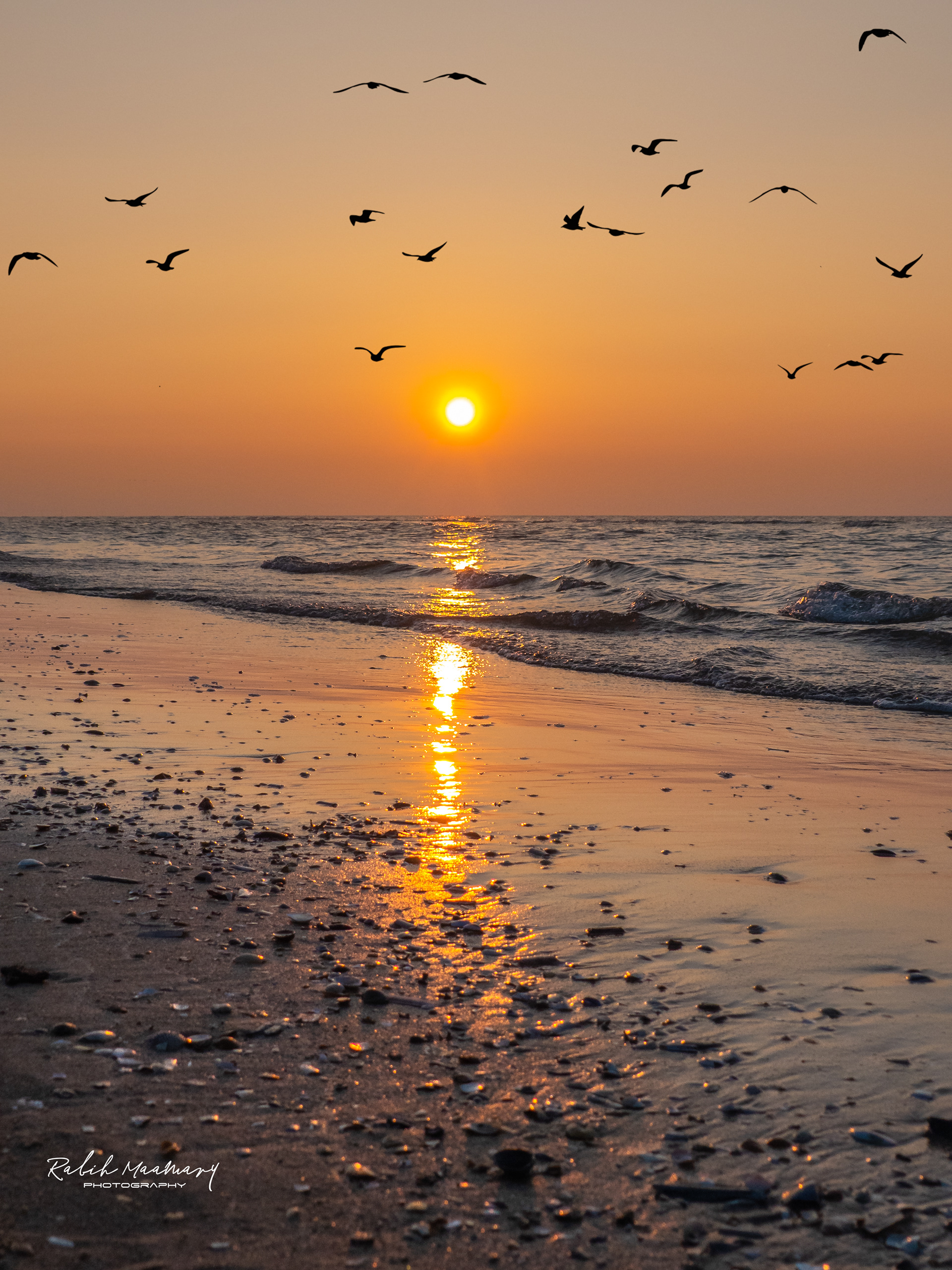 Dunkerque - France