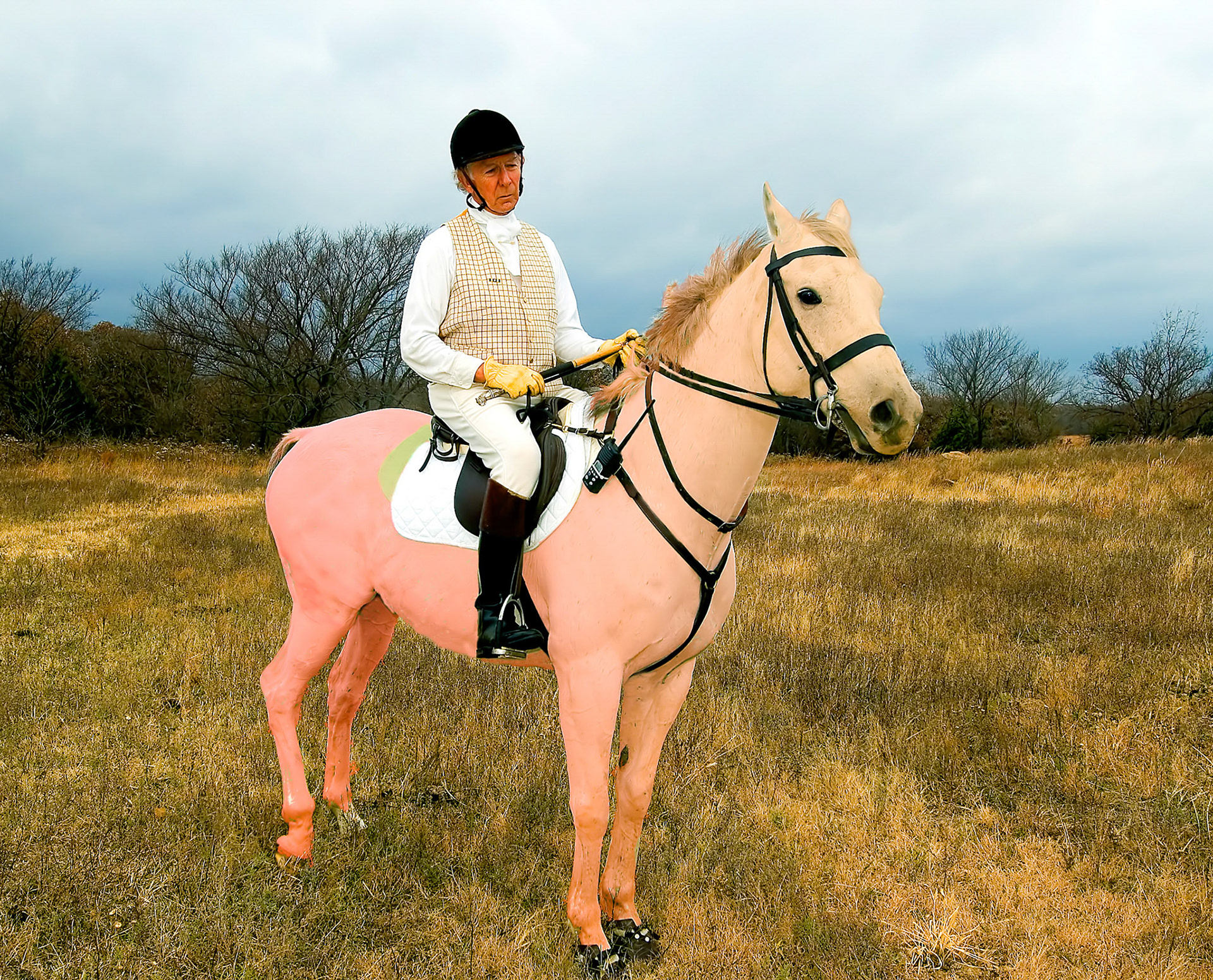 Pink House and Rider