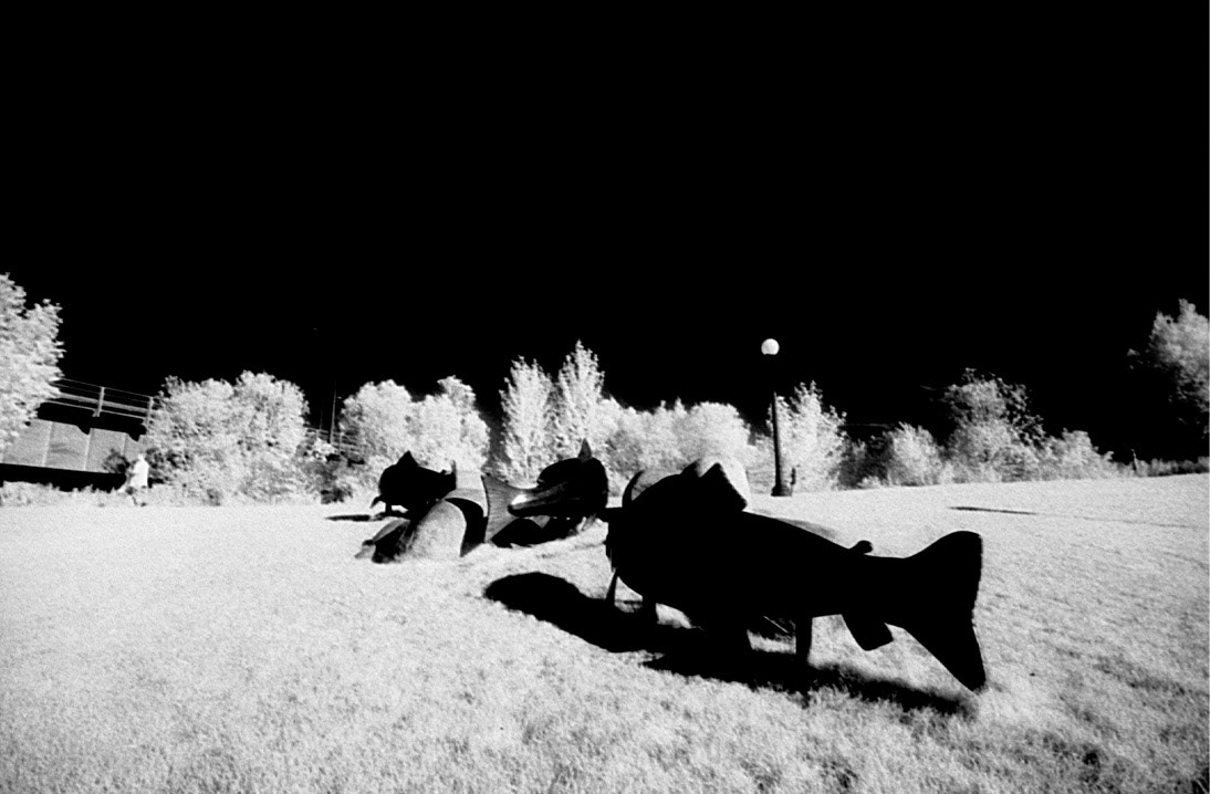 Missoula Infra-red Dream