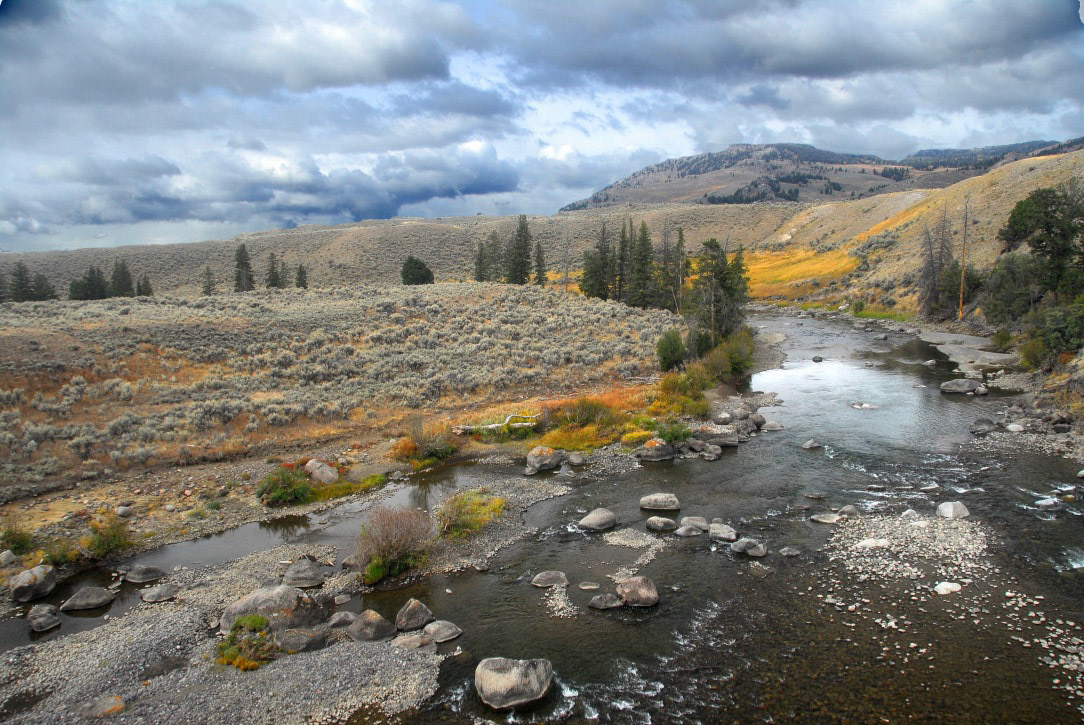 Lamar River - Yellowstone River