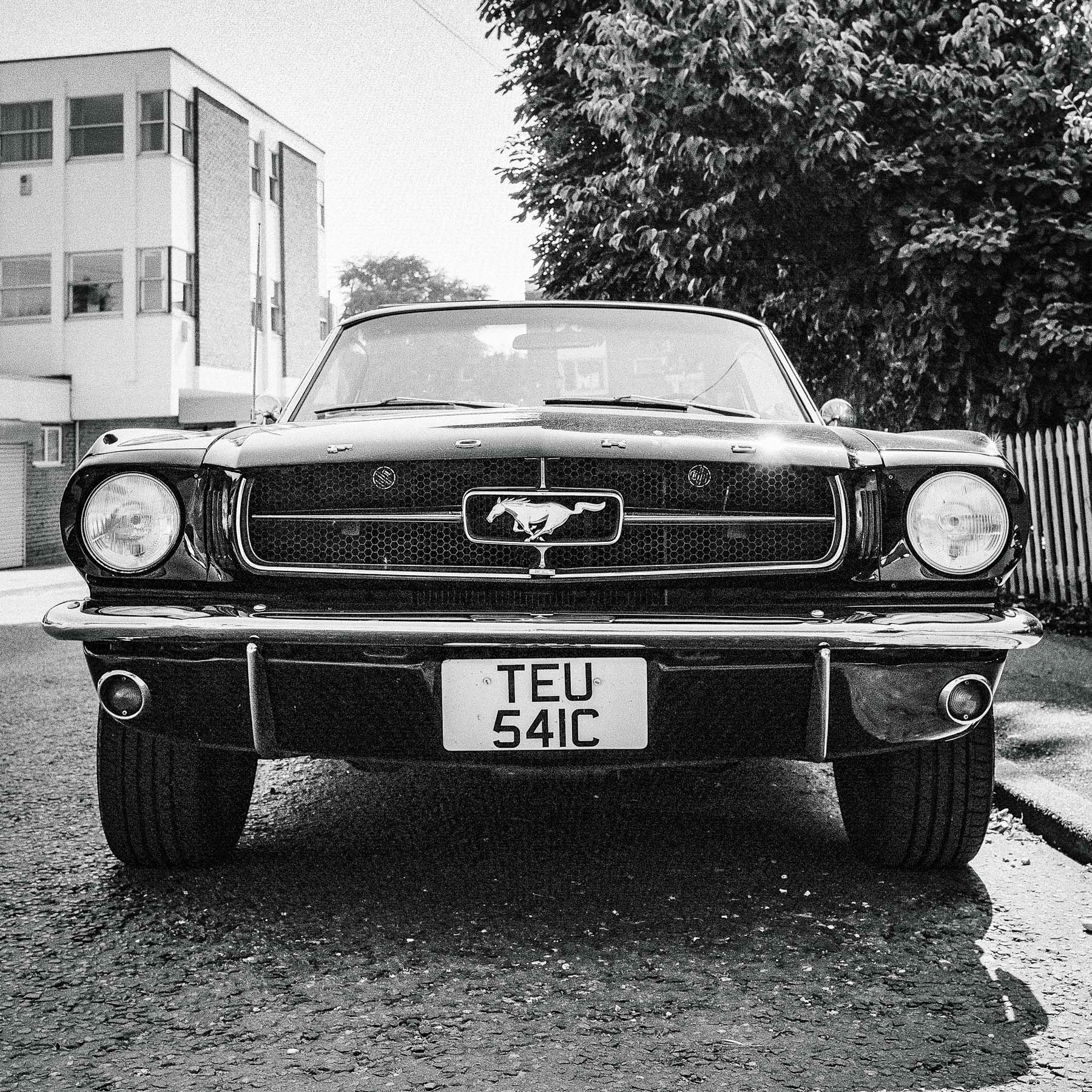 Ingatestone, Essex, August 2019