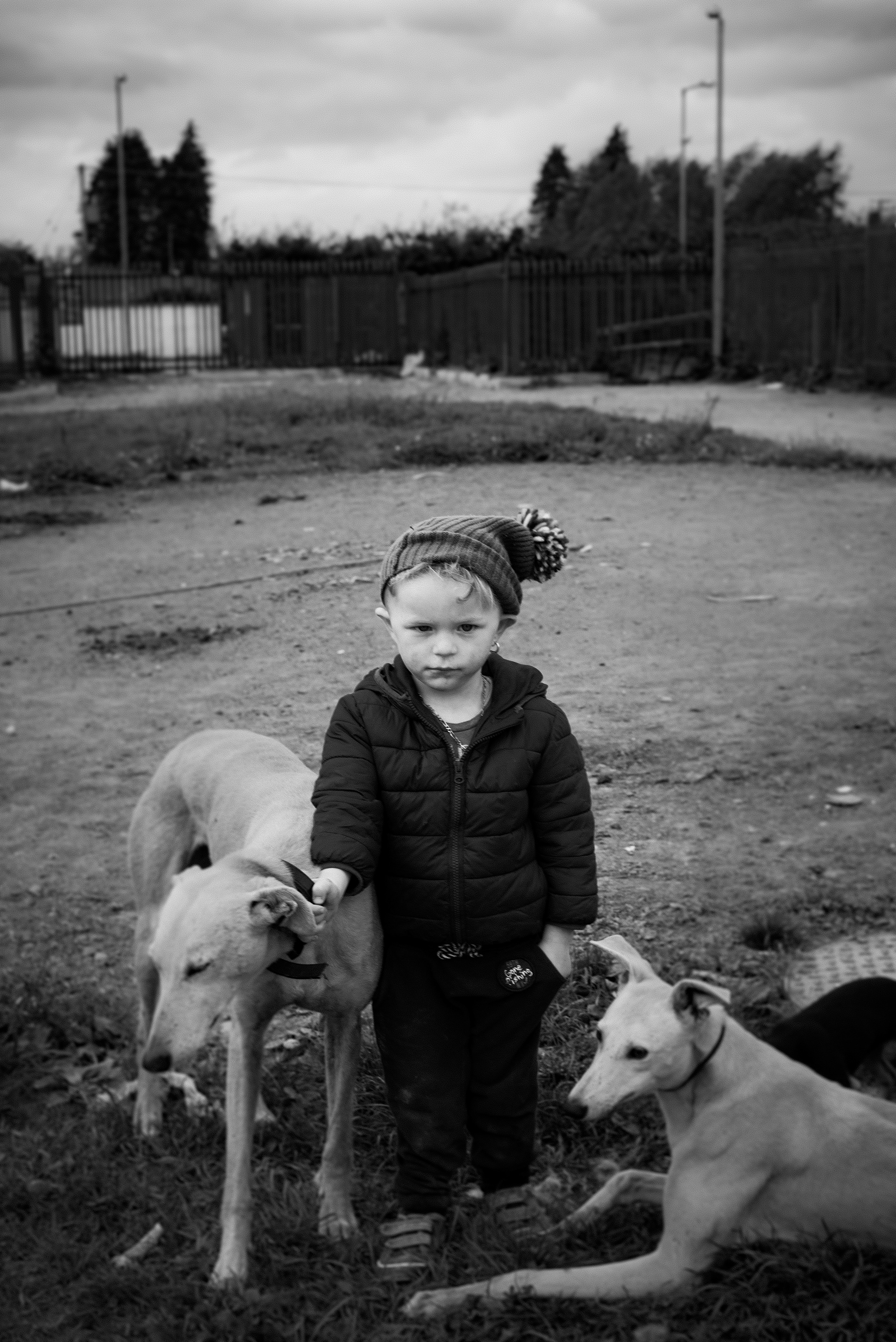 Michael With Lurchers