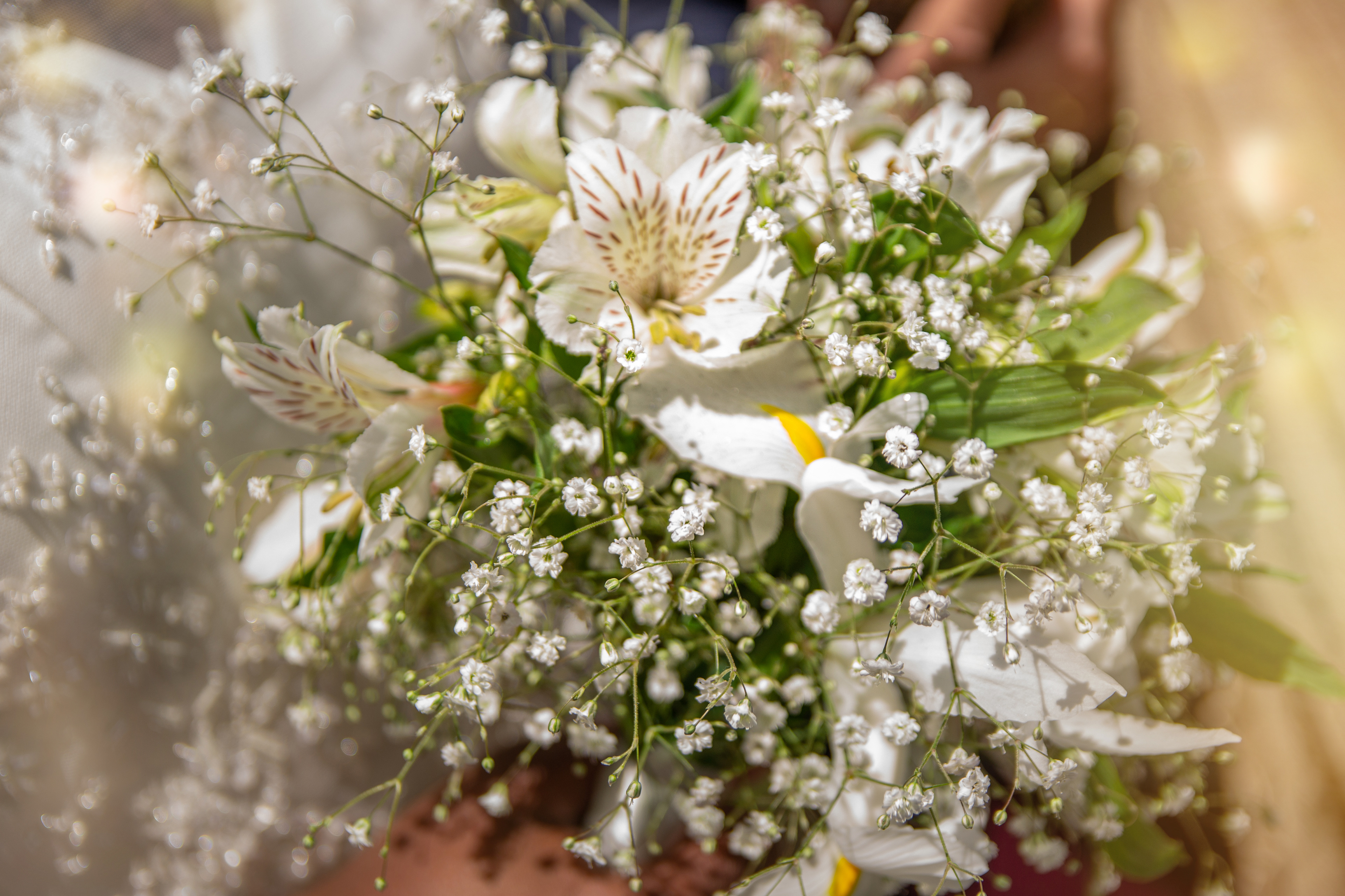 Fotografía para Eventos | Casamiento