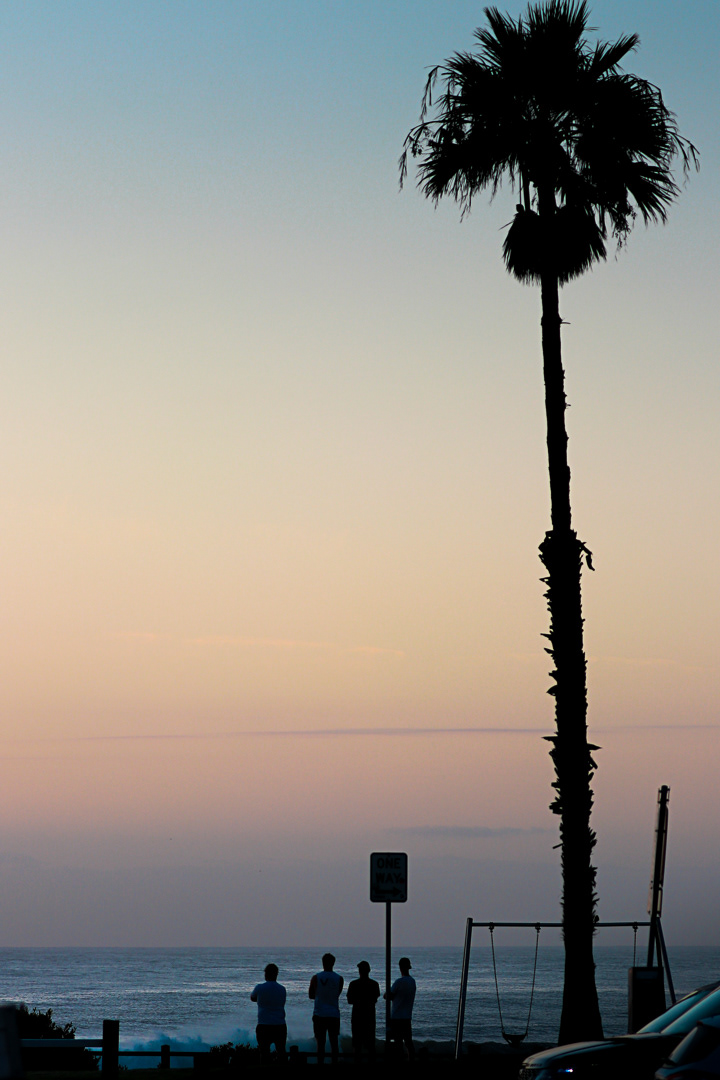 Surf Check | Freshwater Beach