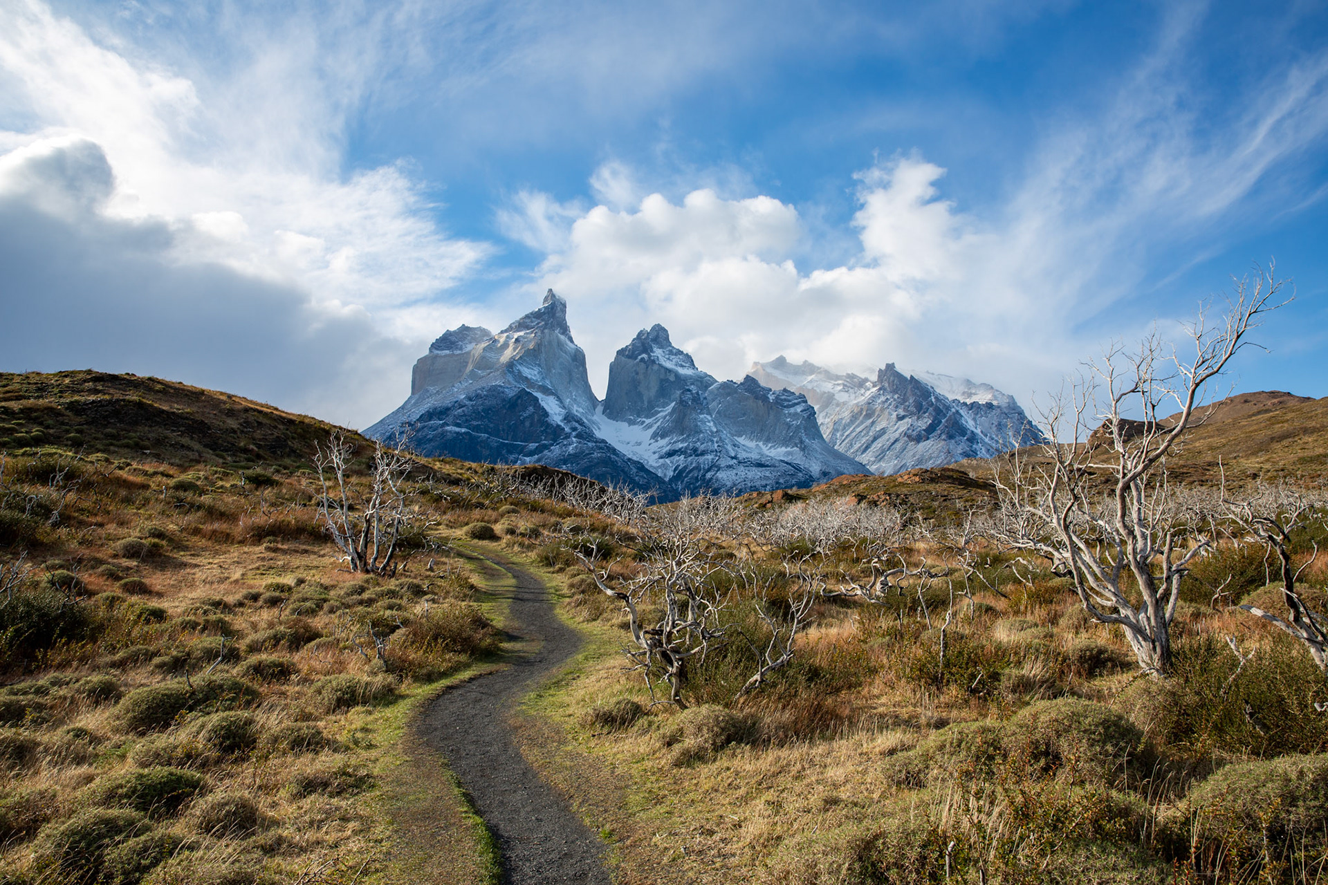 Patagonia 2015Stephen Tam