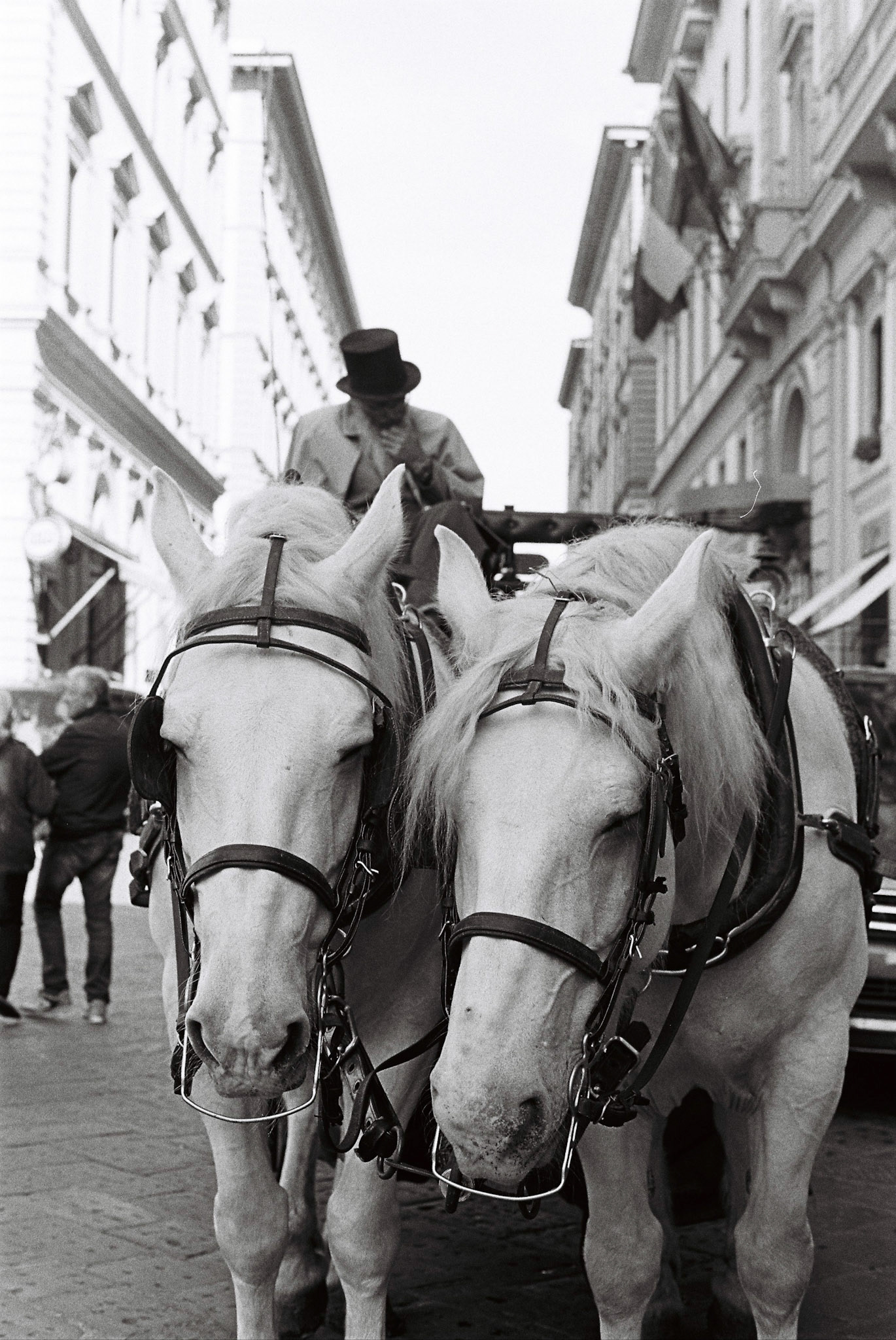 Olympus OM-10 /  Kodak 400TX