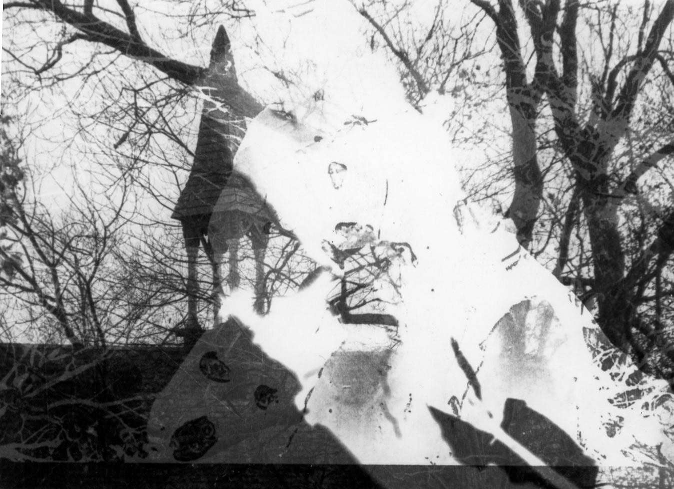 Untitled. Photogram Collage. Variable. 2020.
