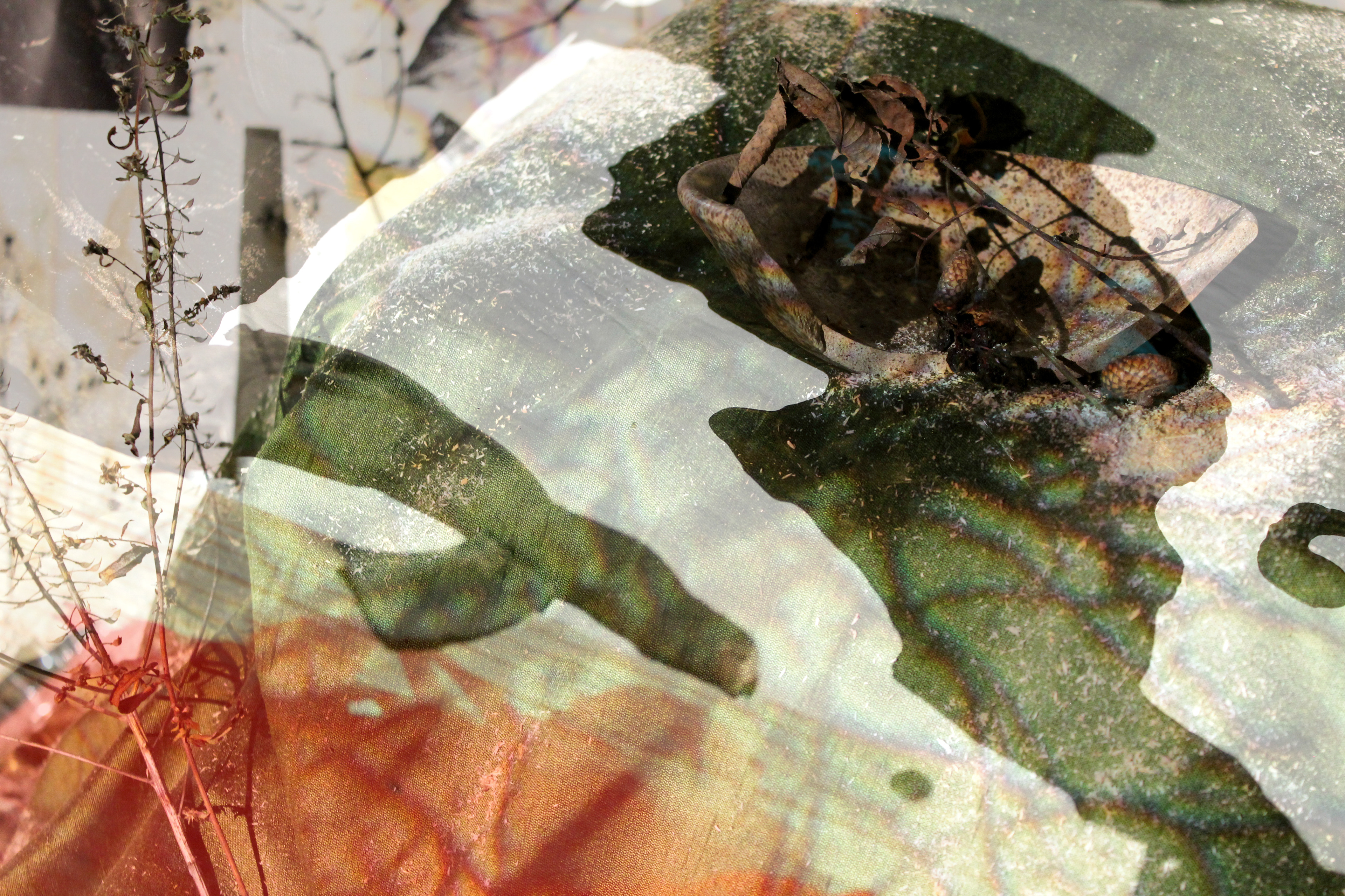 Untitled. Digital Collage. Variable. 2020.