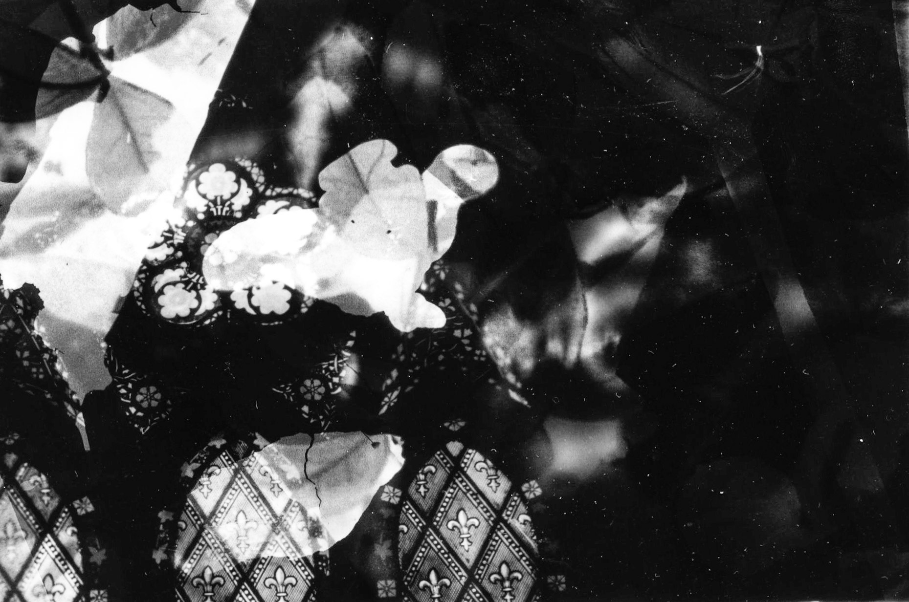 Untitled. Photogram Collage. Variable. 2020.
