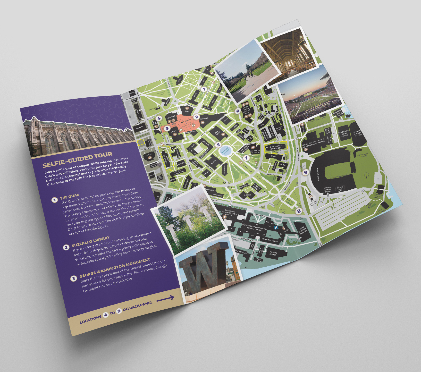 selfie guide brochure