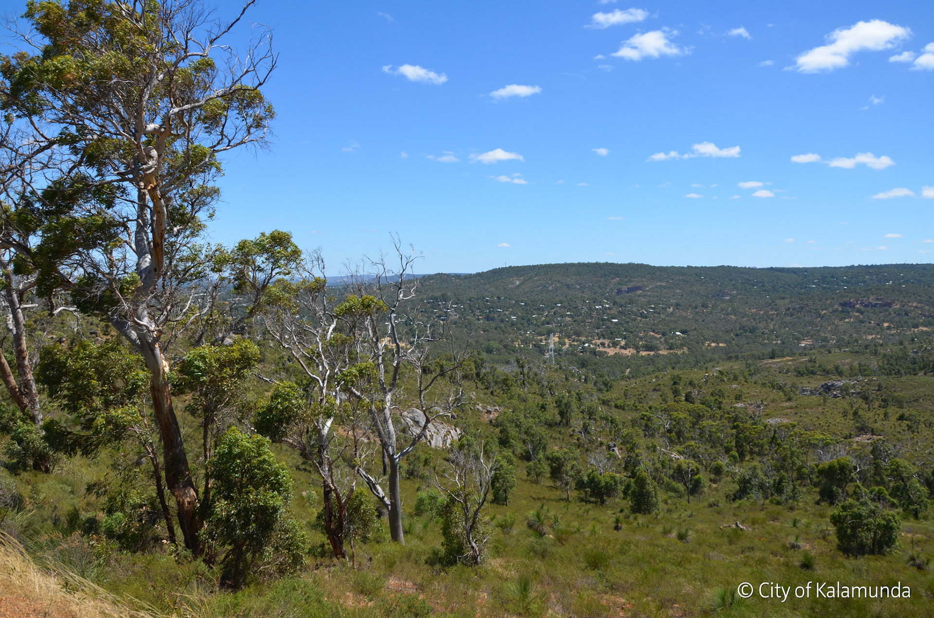 Gooseberry Hill