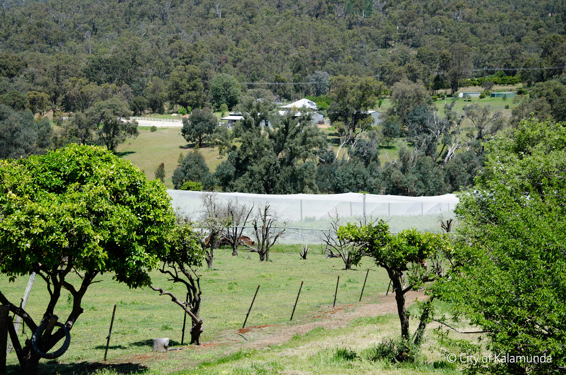 Piesse Brook