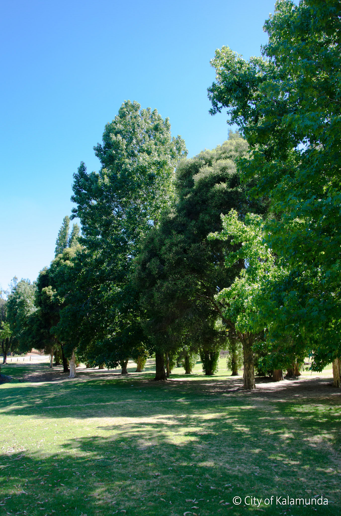 Kalamunda