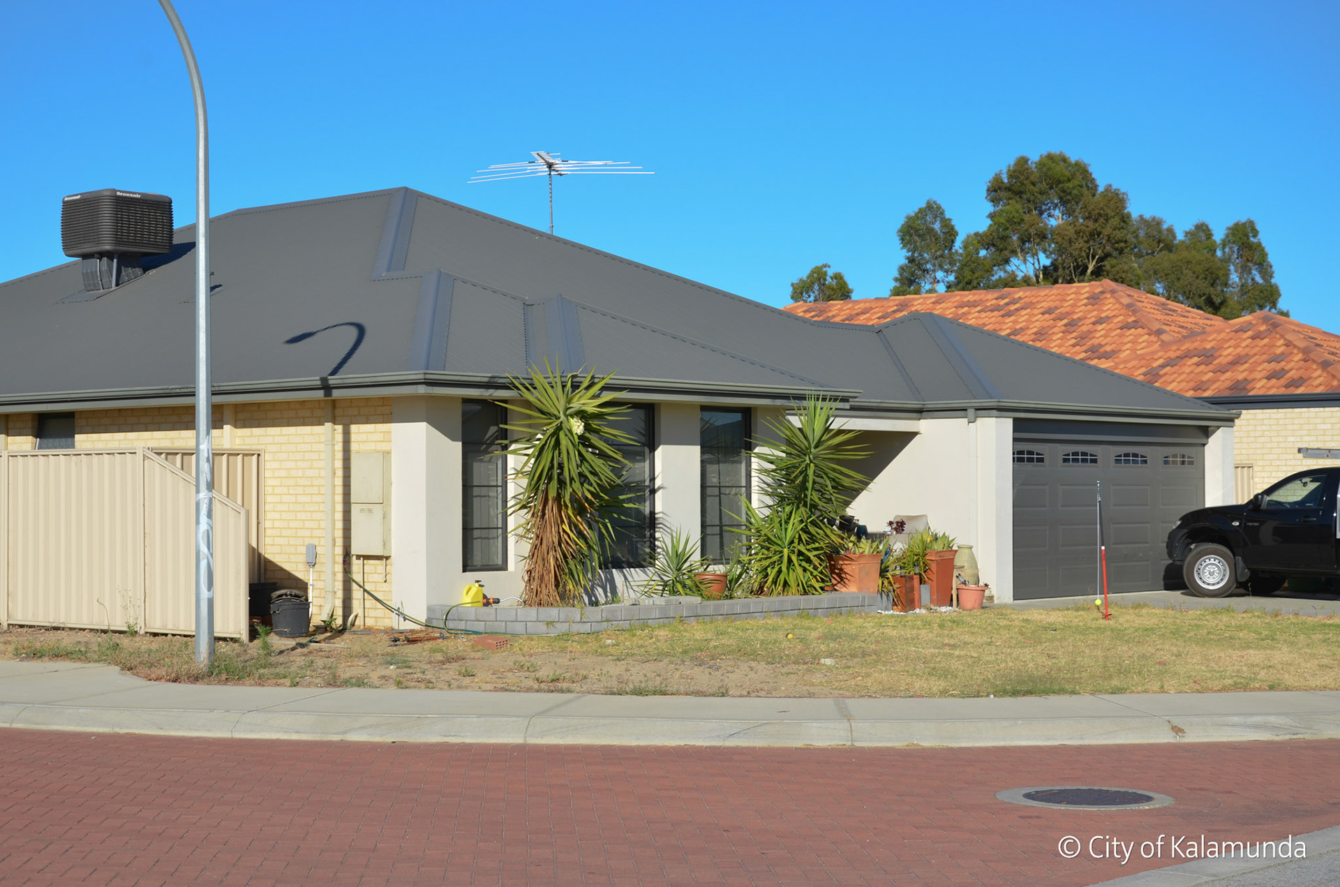 Wattle Grove