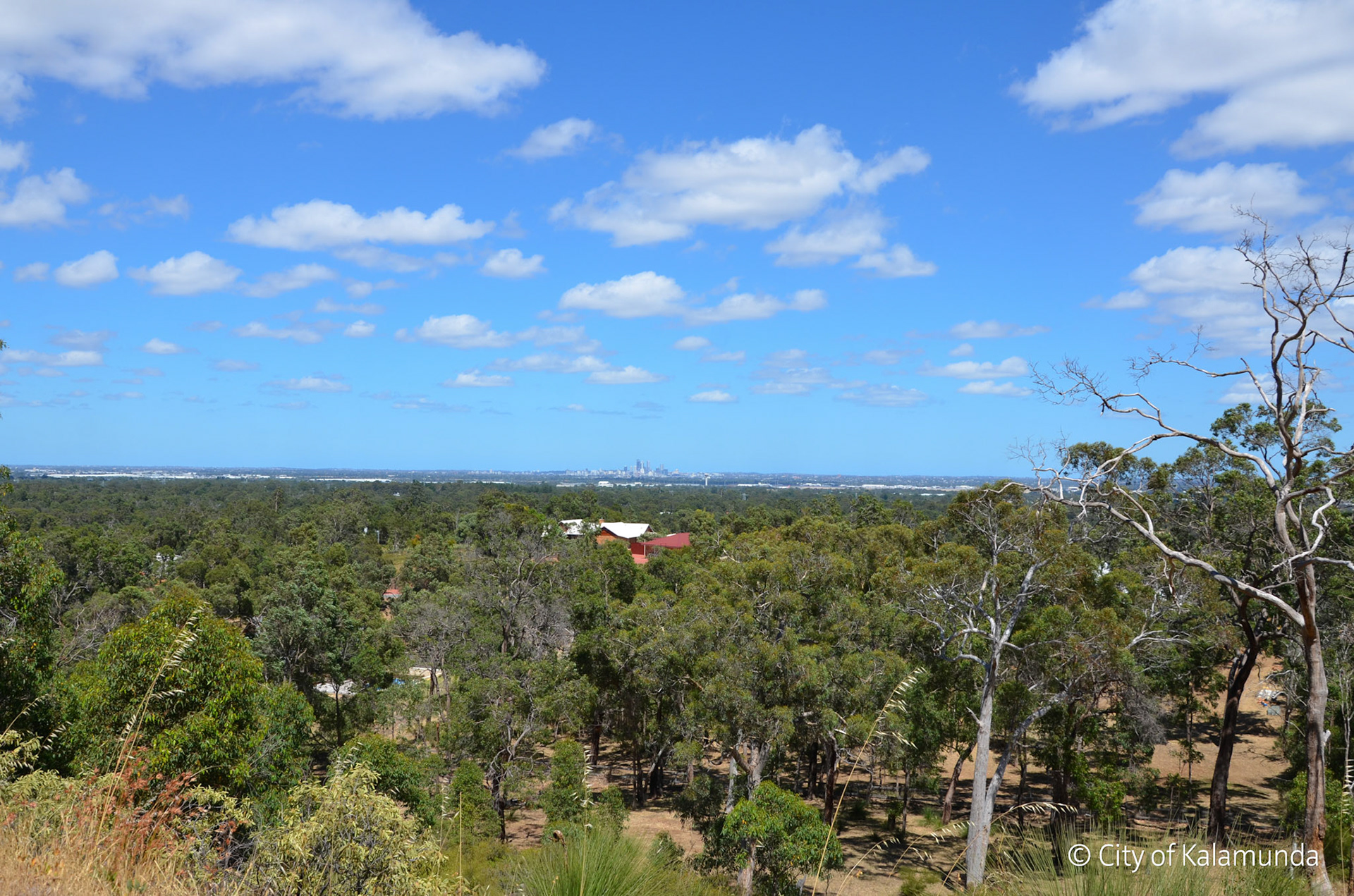 Gooseberry Hill