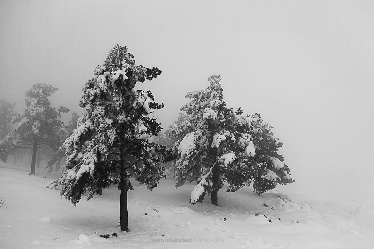 Full of snow