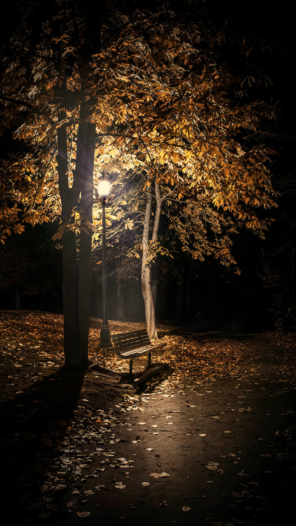 Park Bench