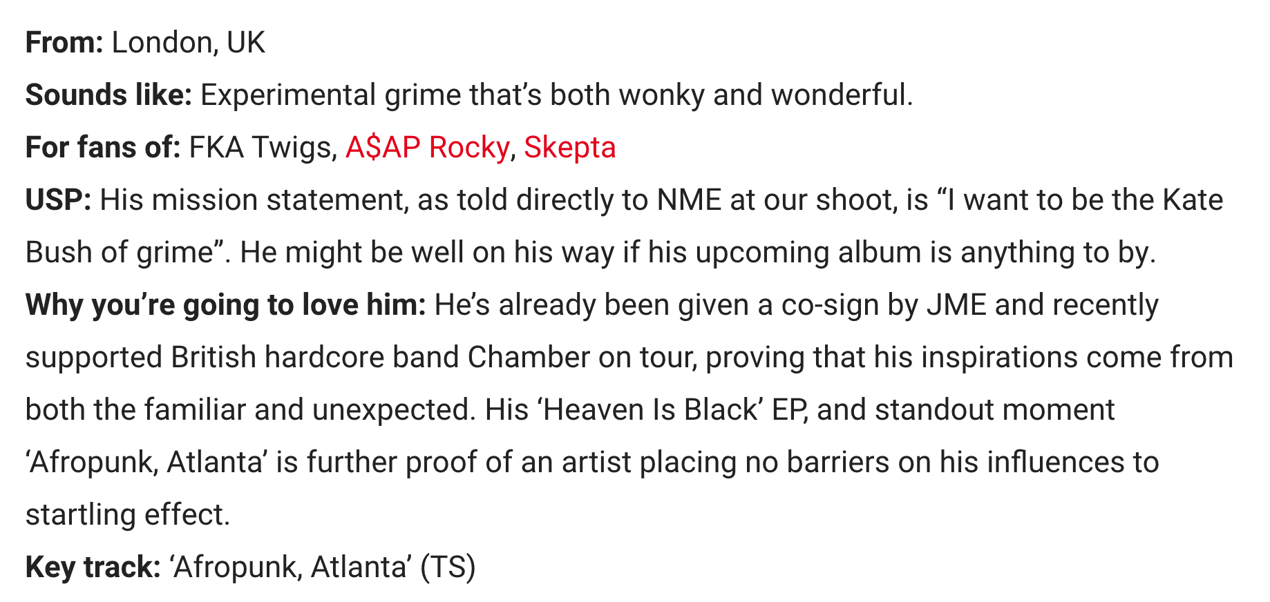 About the Artist, source : NME