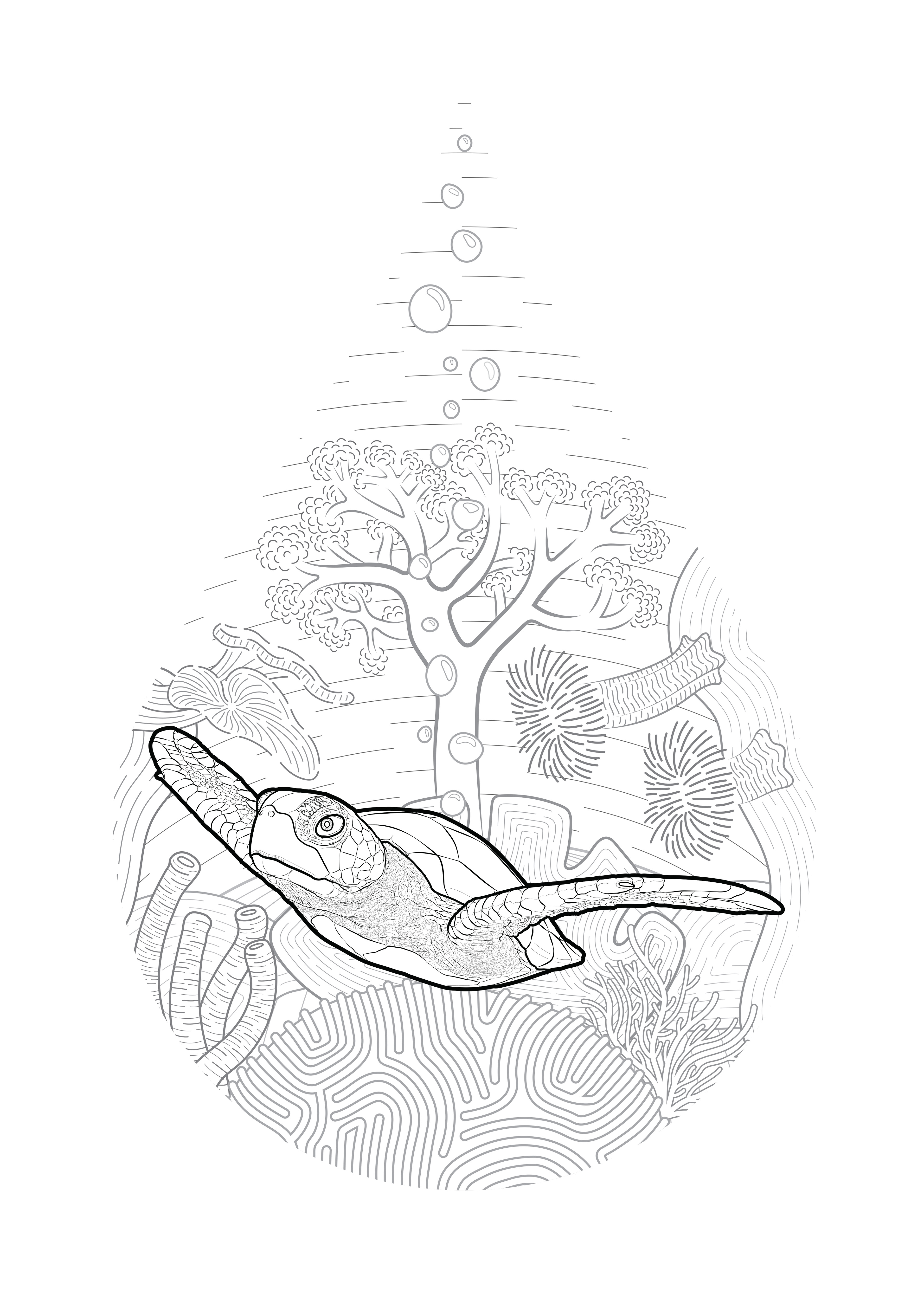 Turt Droplet