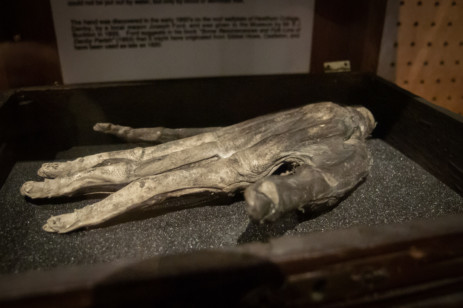 Hand of Glory