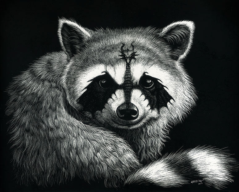 DRACCOON