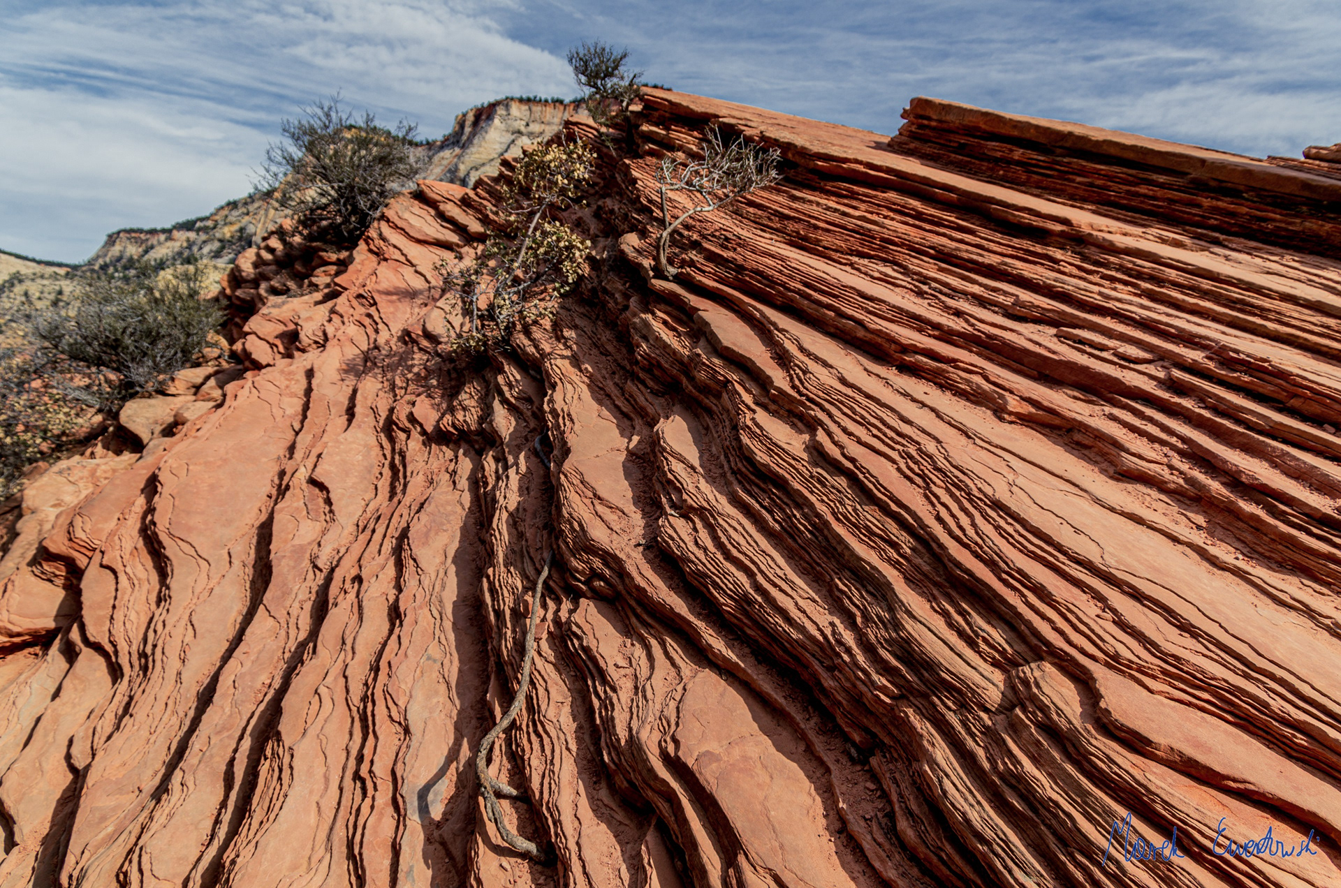 Well prepared layers of sandstone, Zion, Utah