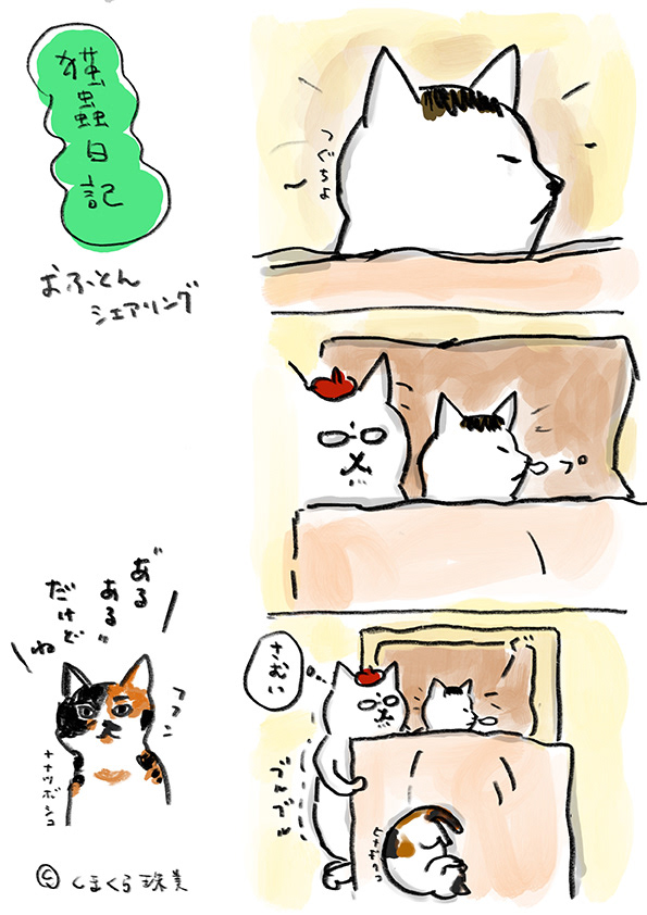 猫蟲日記005