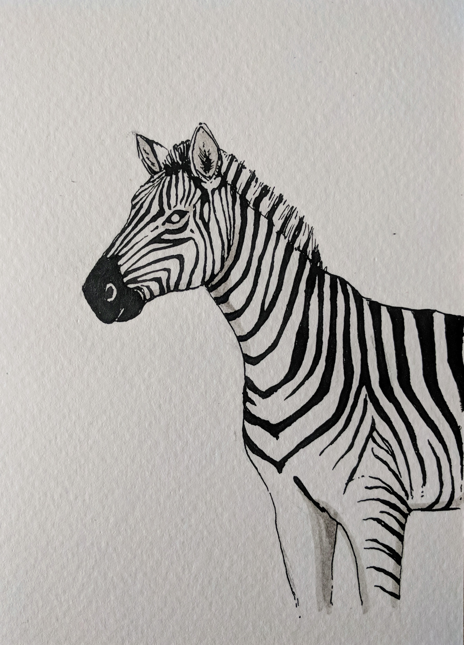 Stripes, 2019; ink on paper