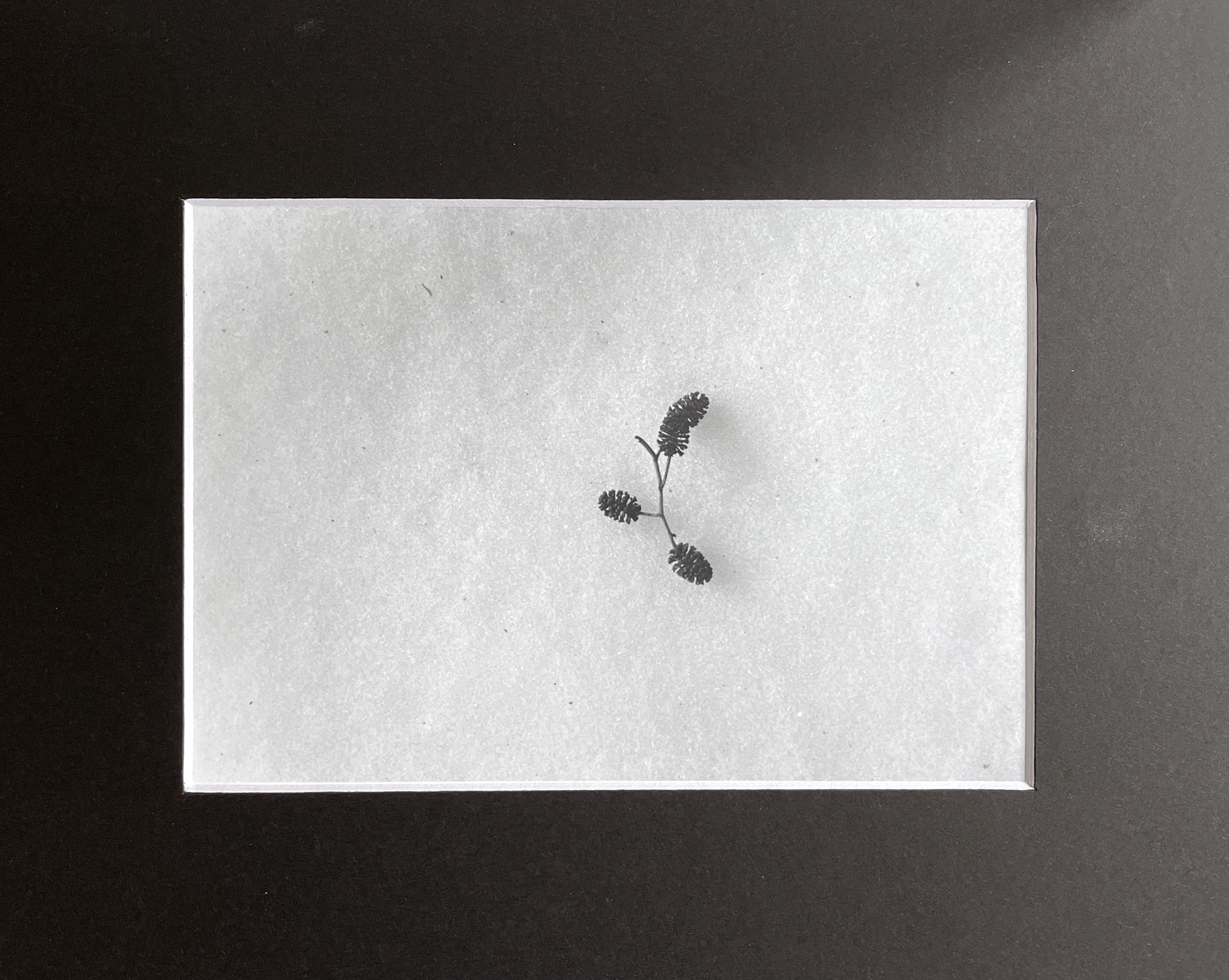 Remnant No. 1 (sold out)