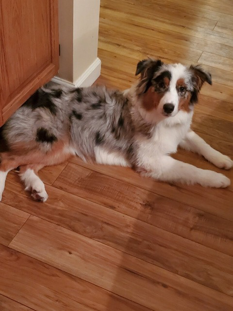 Rheya (Honey) in Philadelphia