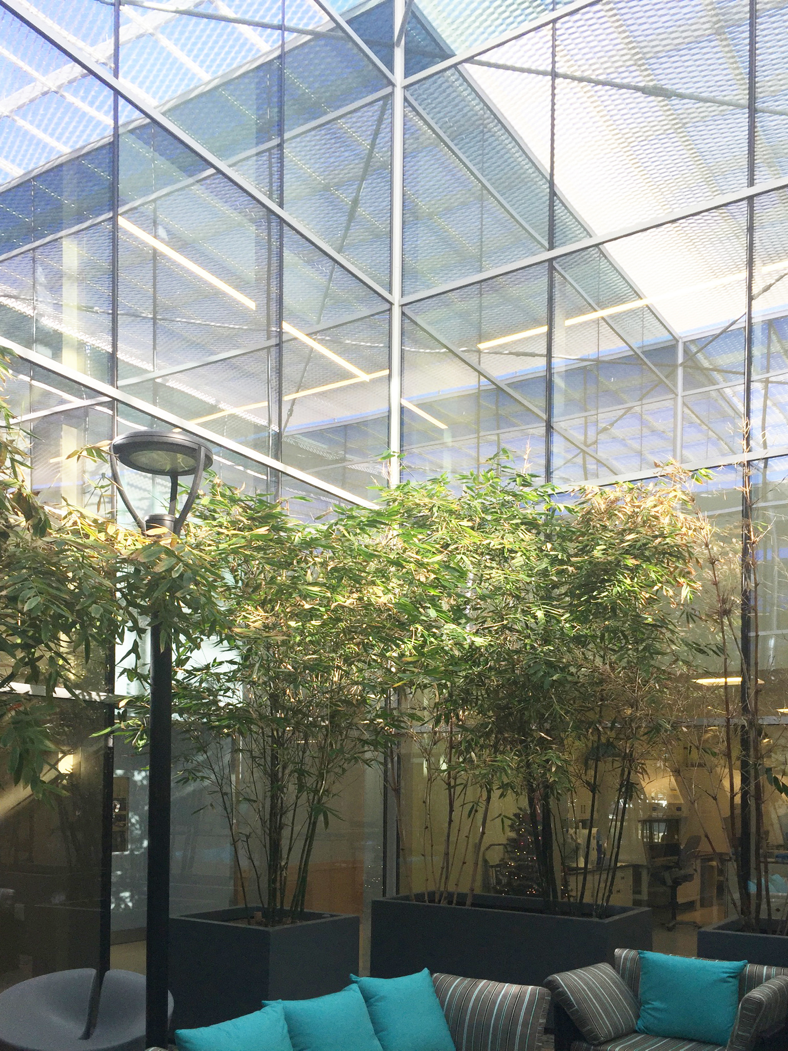 thomas knittel Kaiser Reference Laboratory