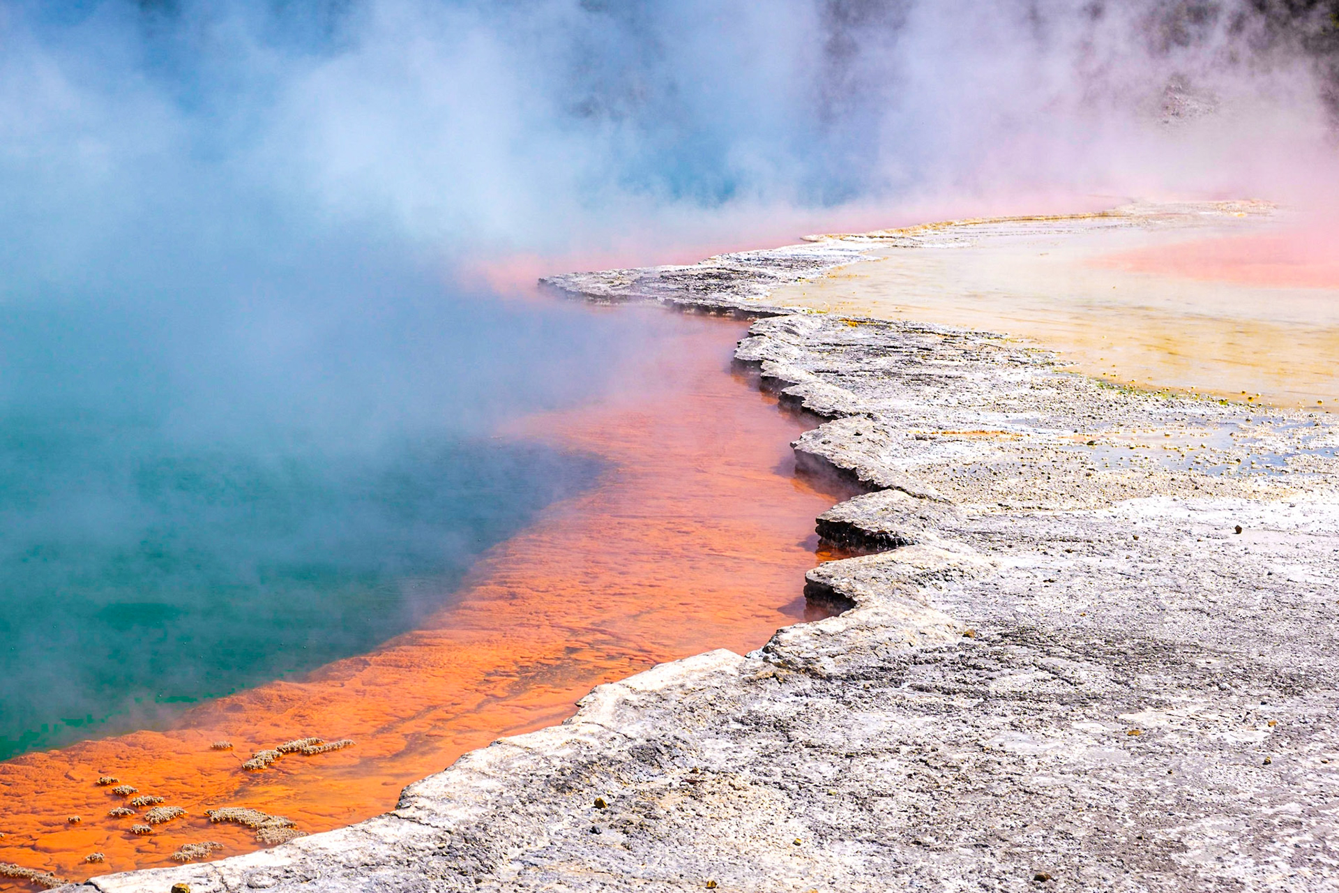 Champaign Pool, Rotorua, NZ