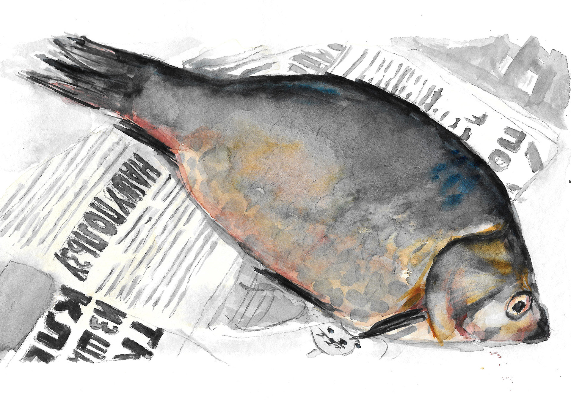15x20 cm | paper, watercolor | 2018