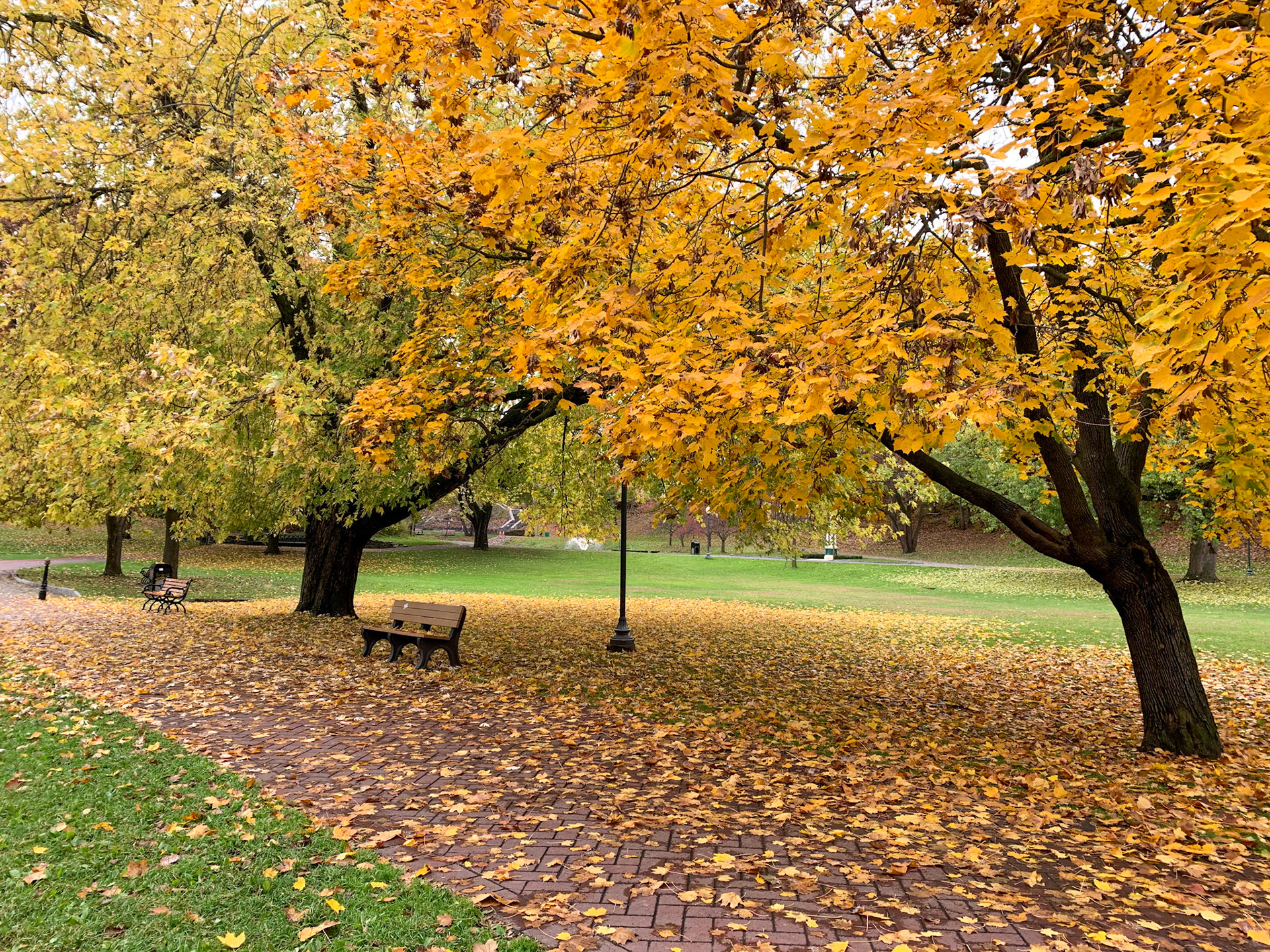 Congress Park in Fall -  Saratoga Springs NY - October 2019