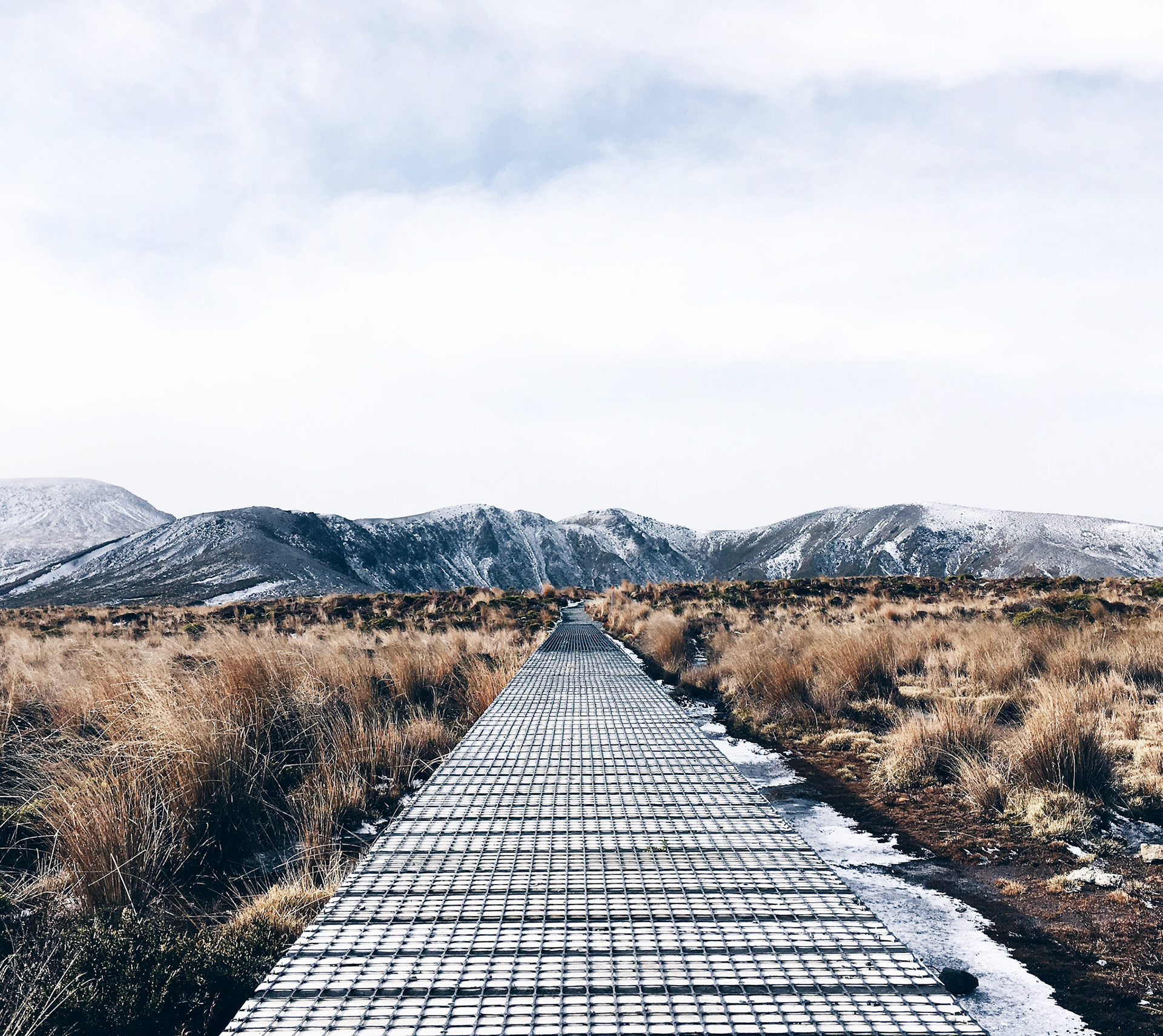 Processed with VSCO with hb1 preset