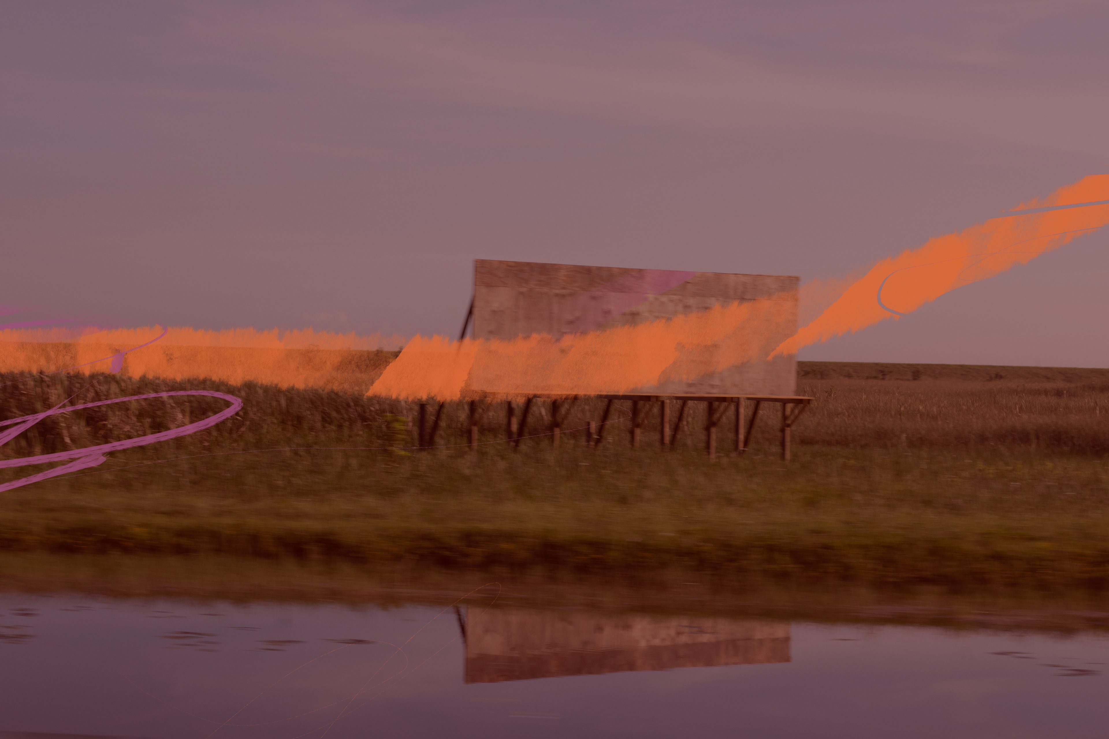 Everglades, FL | June 2020