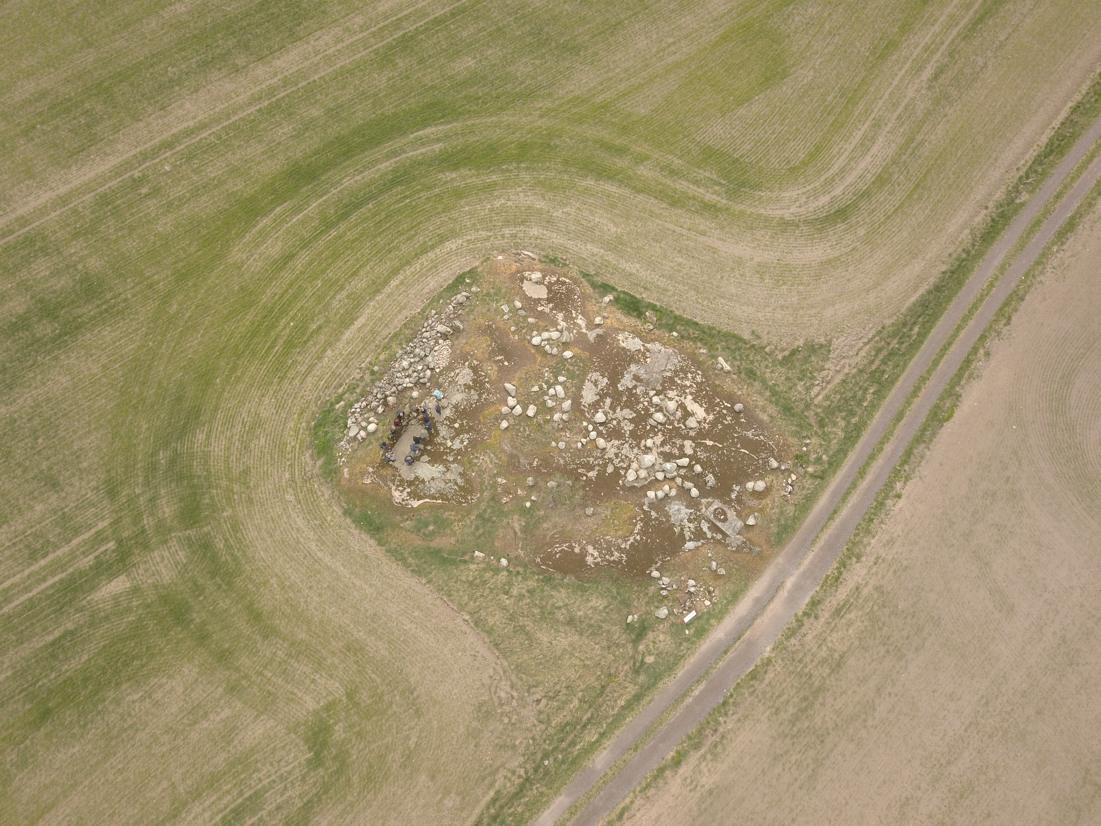 Aerial Image. Credit: Philip J Nicholson (CC BY-NC-ND)