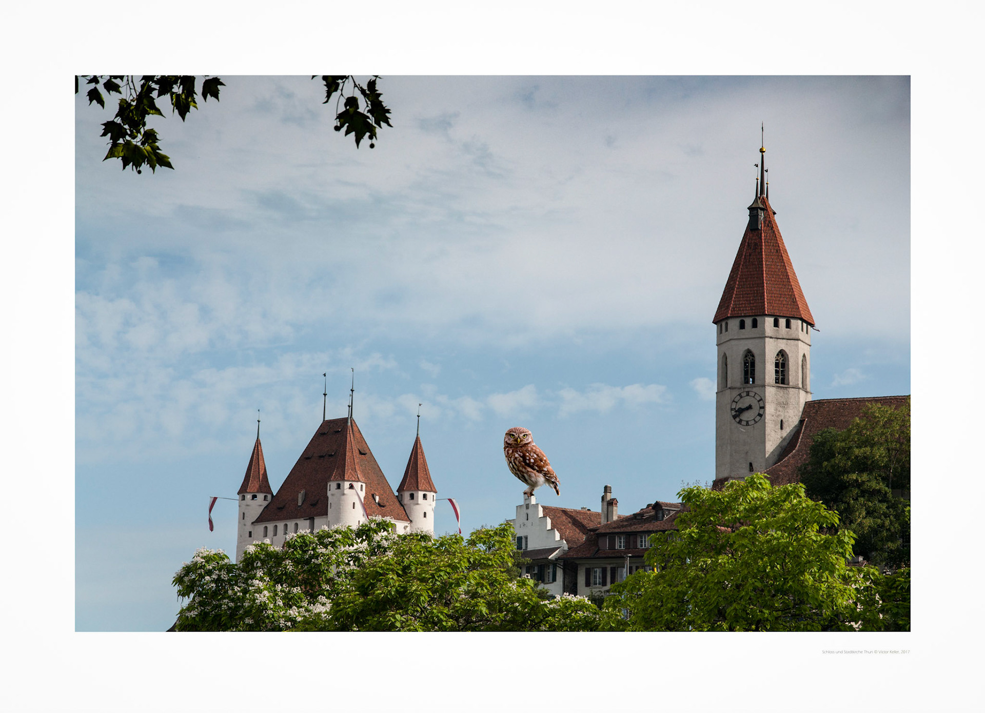 Riesen -Chutz auf dem Statthalterhaus Juli 2019