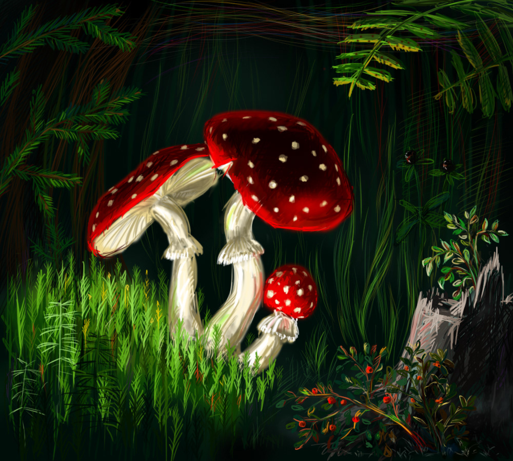 Картина мухомор. Мухомор Аманита Мускария. Изумрудный мухомор. Amanita muscaria рисунок. Мухоморы стилизованные.