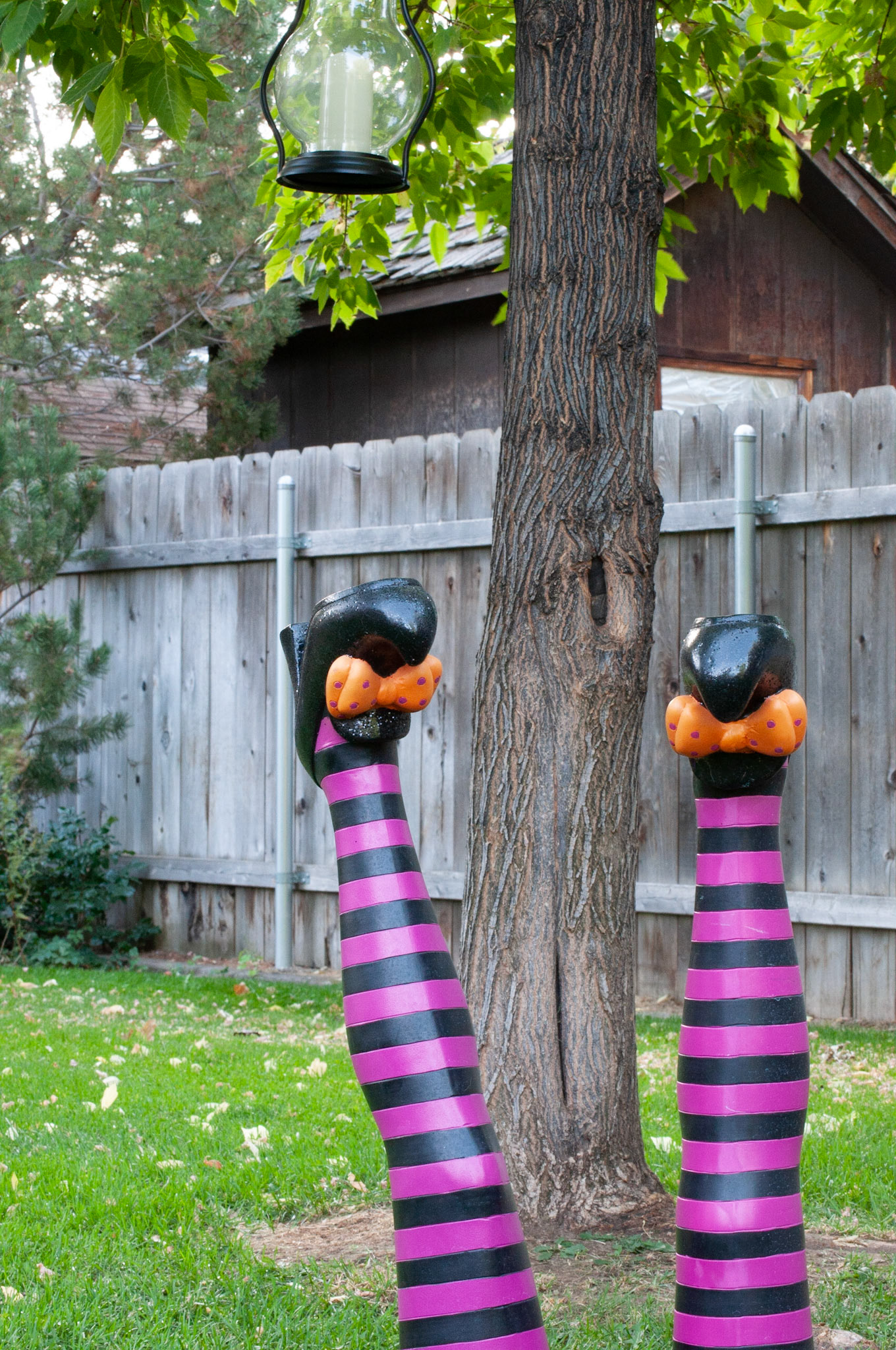 This was witch legs shot at 1/15s F16 and ISO 1250, Still shot to show depth, 20200926, Backyard, Miller, This started to wash out and lose color vibrancy when adjusting my ISO/F/Shutter speed. I continued to adjust to see what changed in the photograph. Camera Settings: Nikon D500, ISO 1250, 55mm, f/16, 1/15s