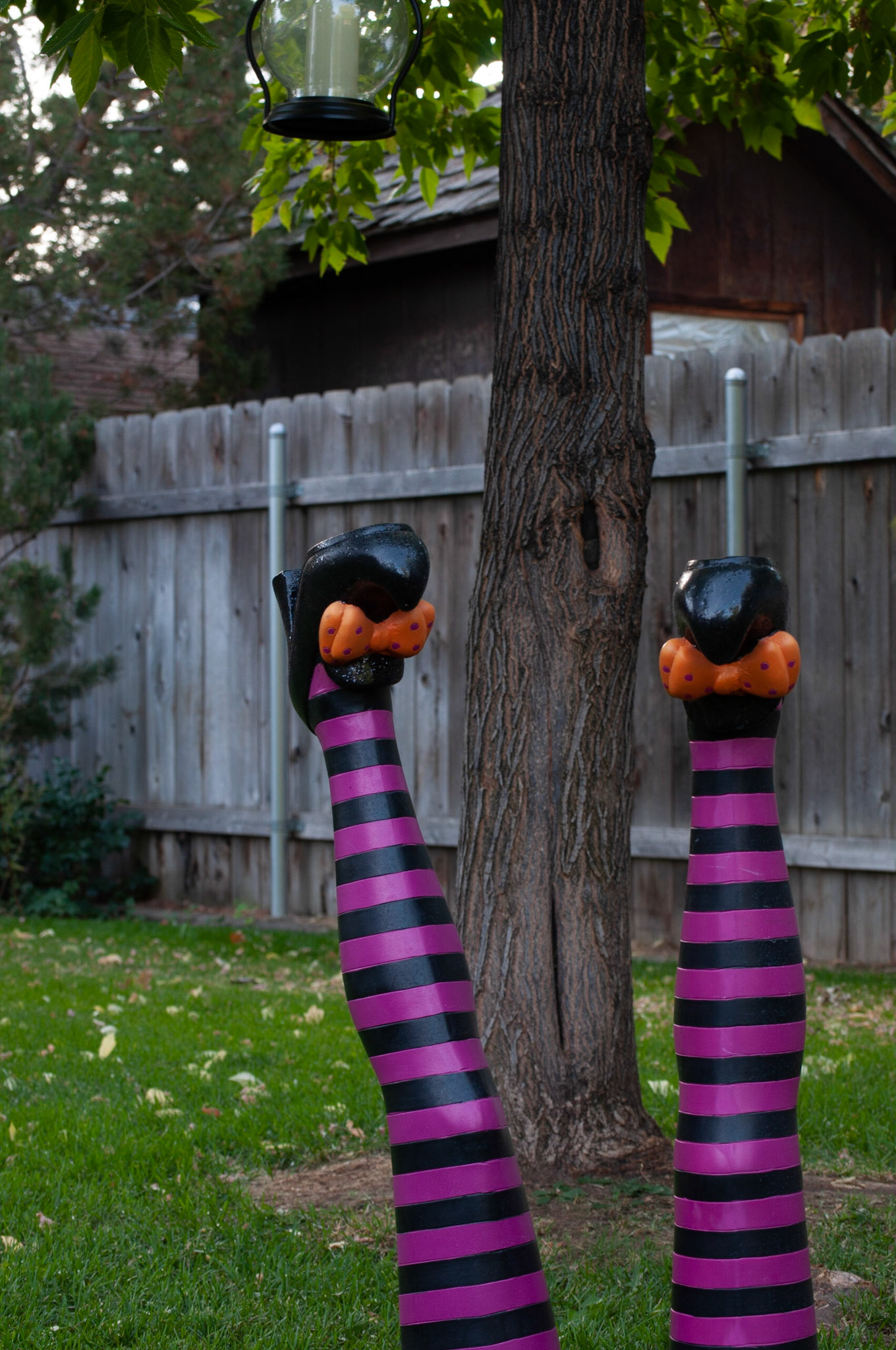 This was witch legs shot at 1/80s F4 and ISO 200, Still shot to show depth, 20200926, Backyard, Miller, This was close shot to my favorite outcome when adjusting my ISO/F/Shutter speed. I continued to adjust to see what changed in the photograph. Camera Settings: Nikon D500, ISO 200, 55mm, f/4, 1/80s