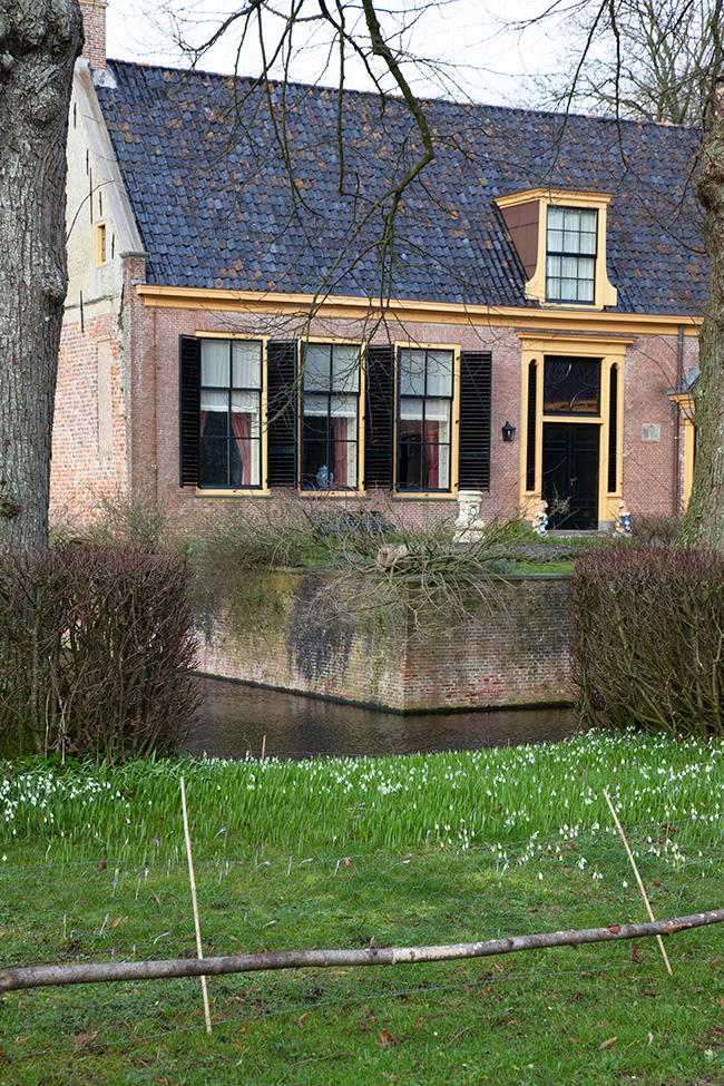 DE Feb 005