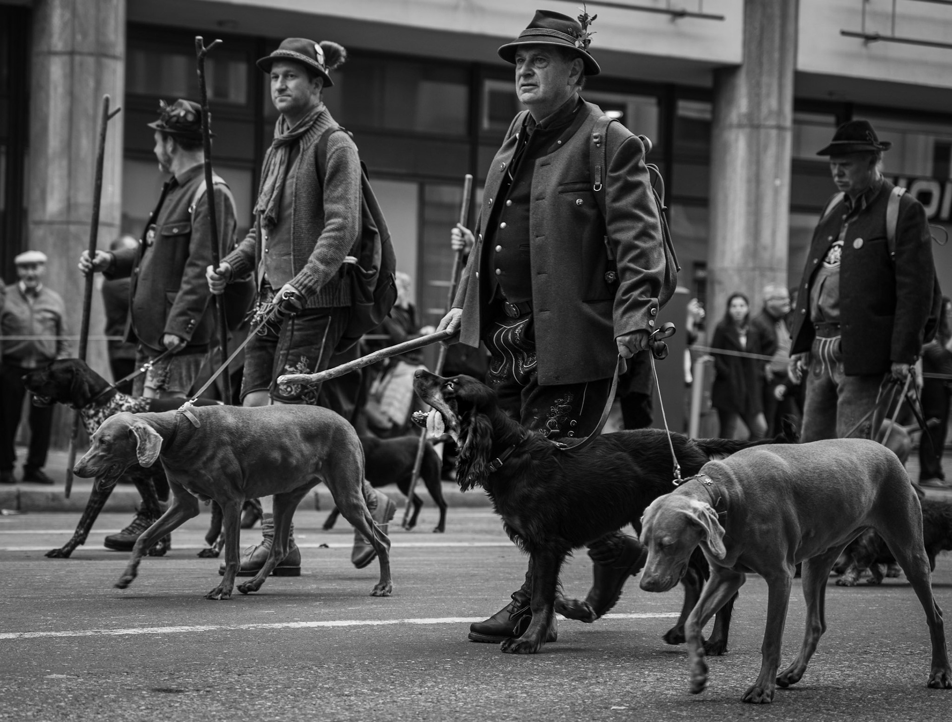 the dog whisperer - Munuch, Germany@2019