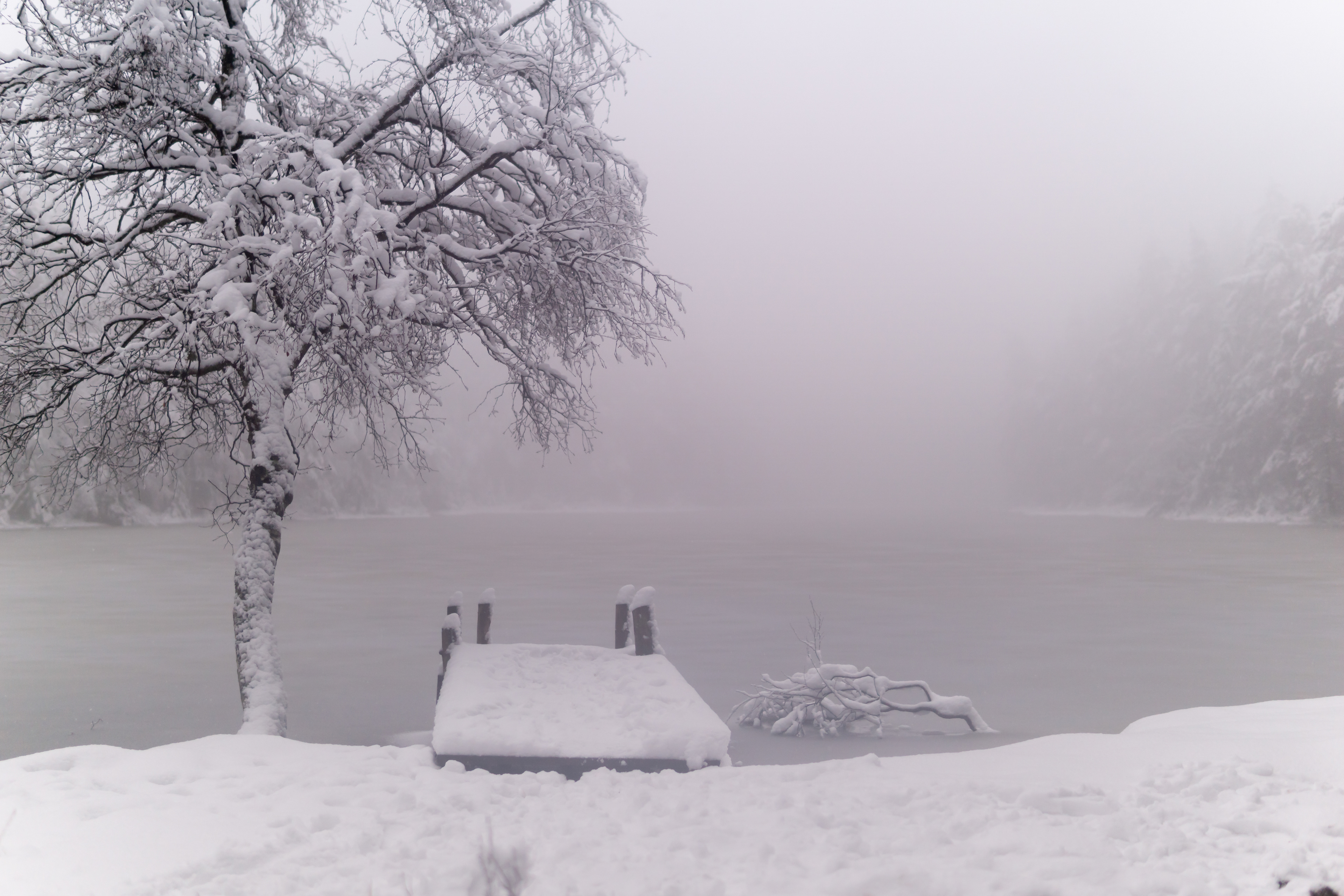 On a dreary winter's day