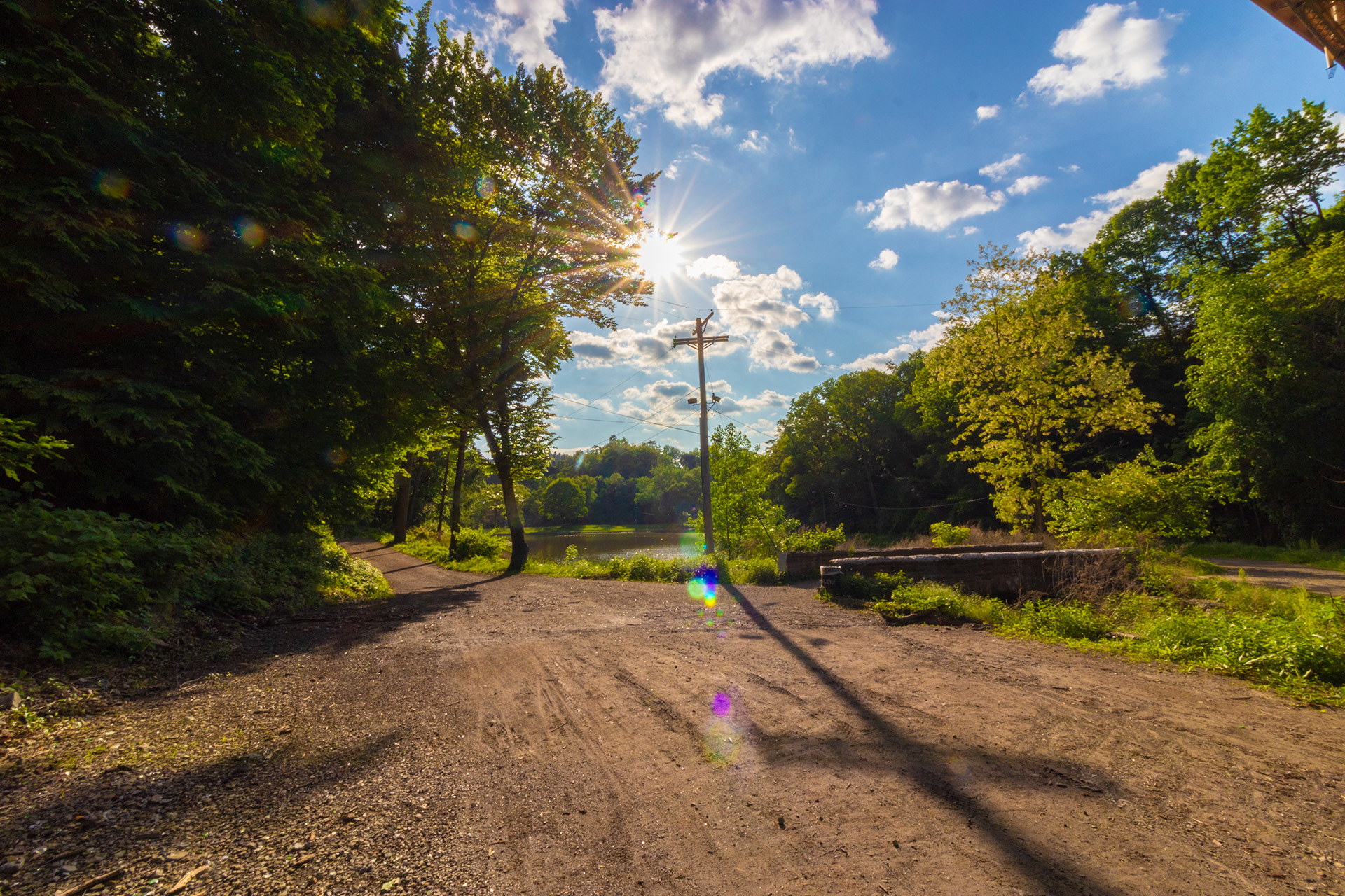 HDIC Productions Portfolio Schenley Park