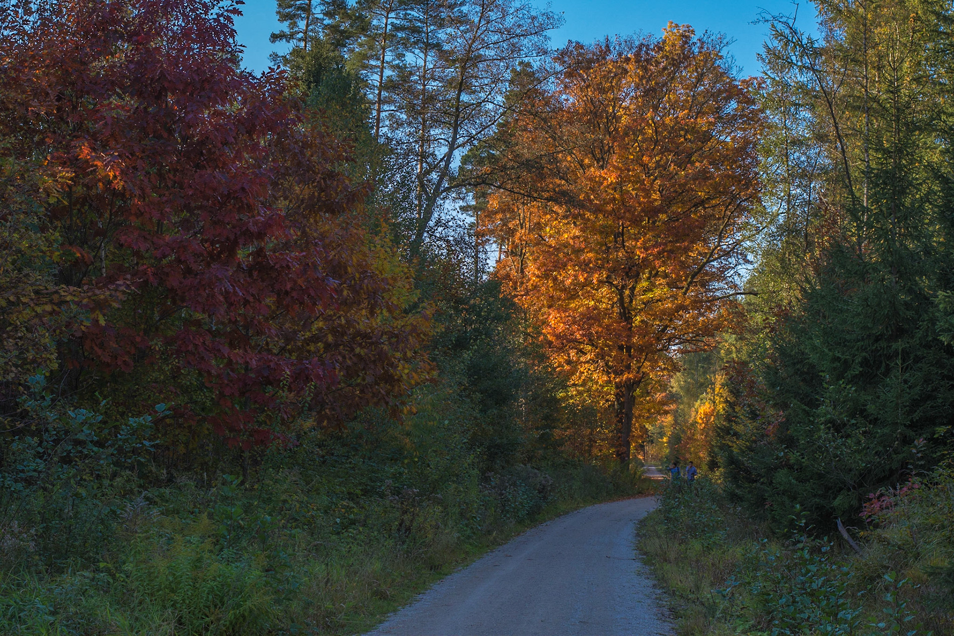 Der #Herbst ist einfach meine #Lieblingsjahreszeit.