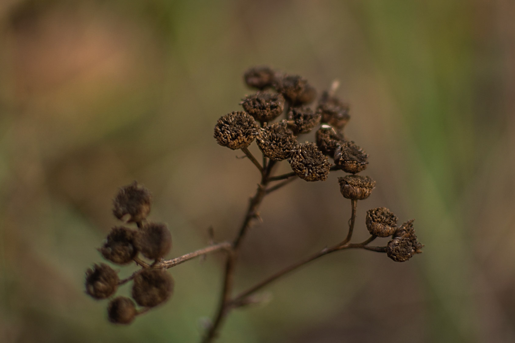 Winter is coming :-)